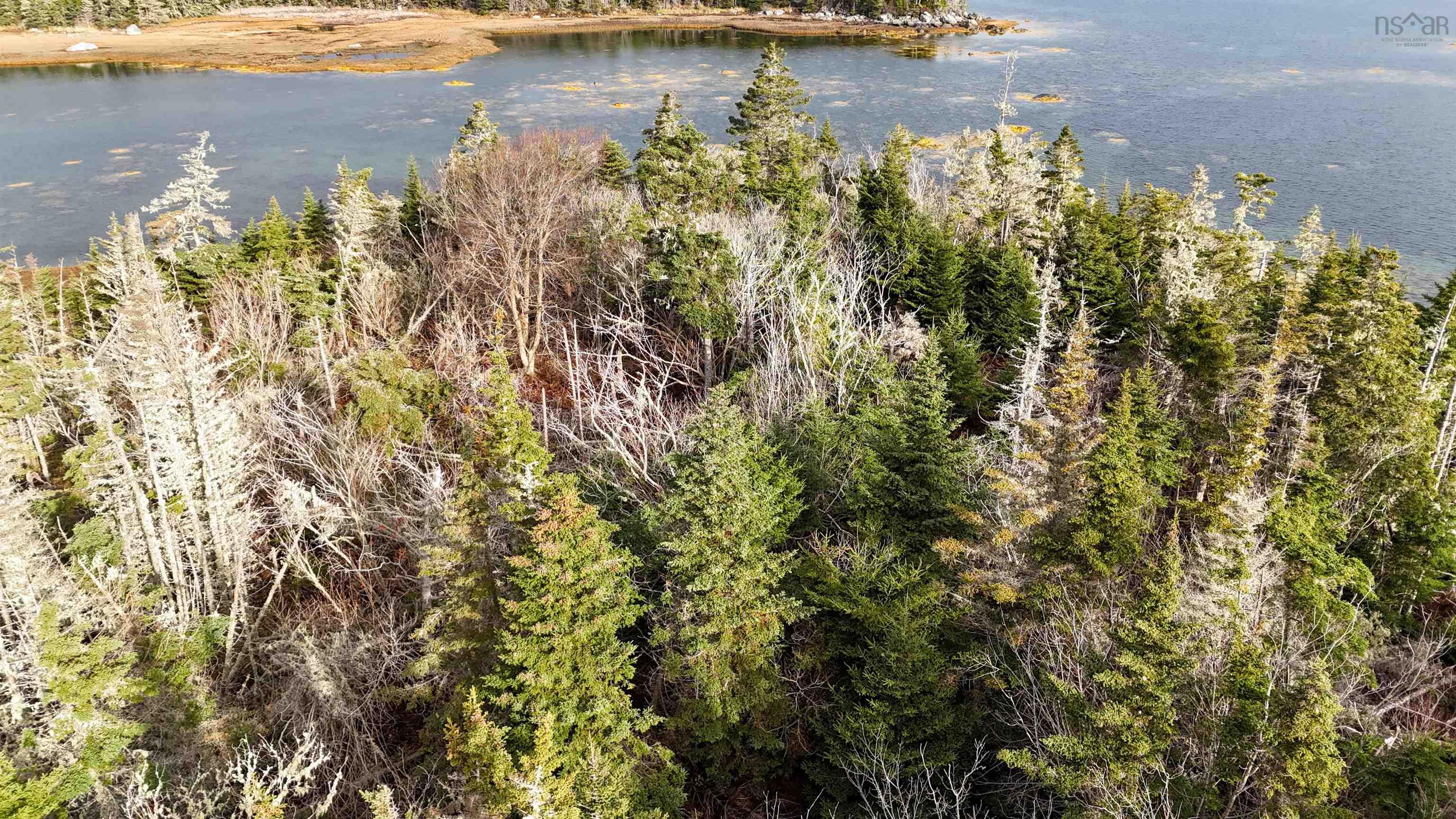 $79,900.00: Little Militia Island, Bear Point