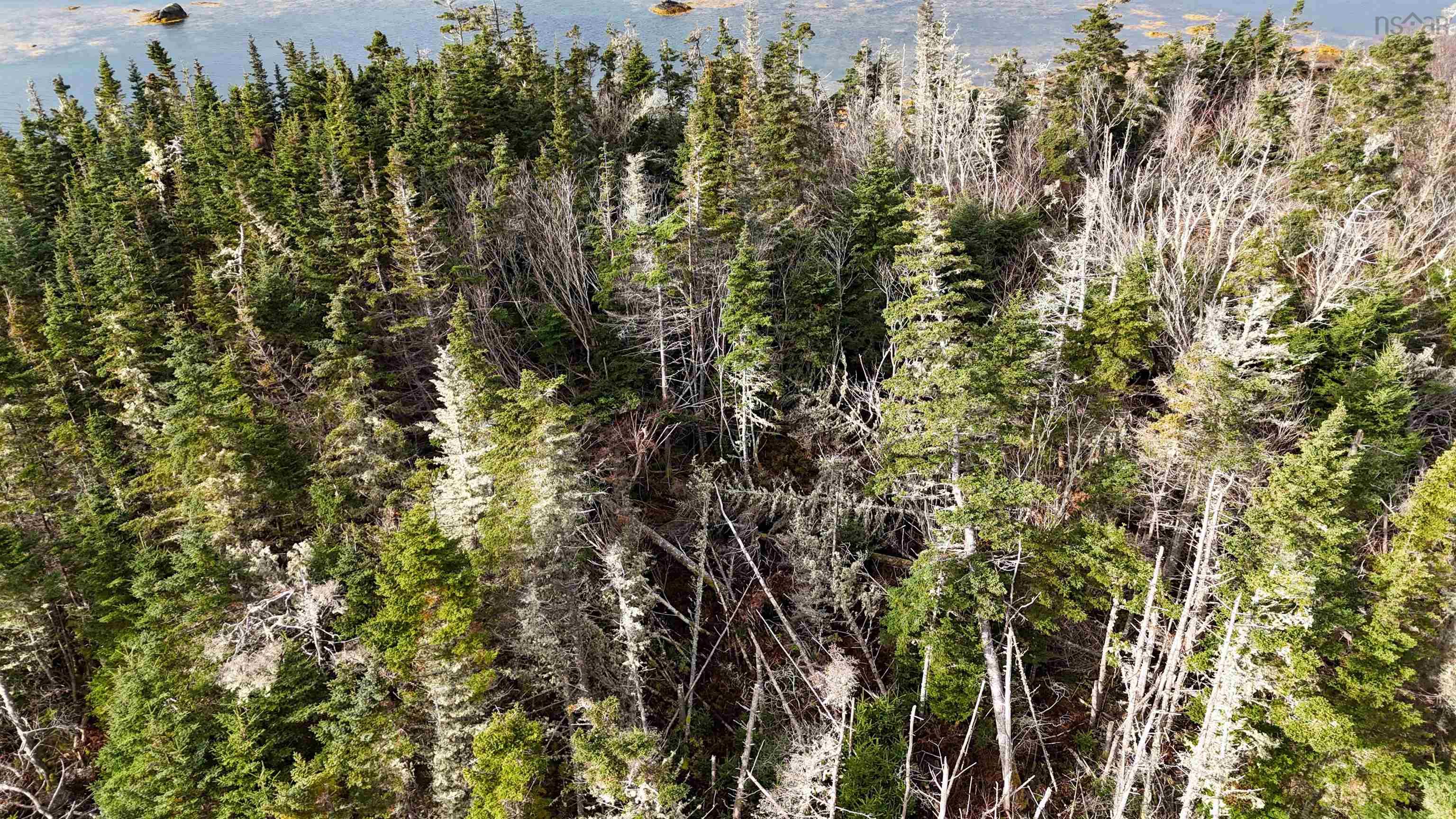 $79,900.00: Little Militia Island, Bear Point