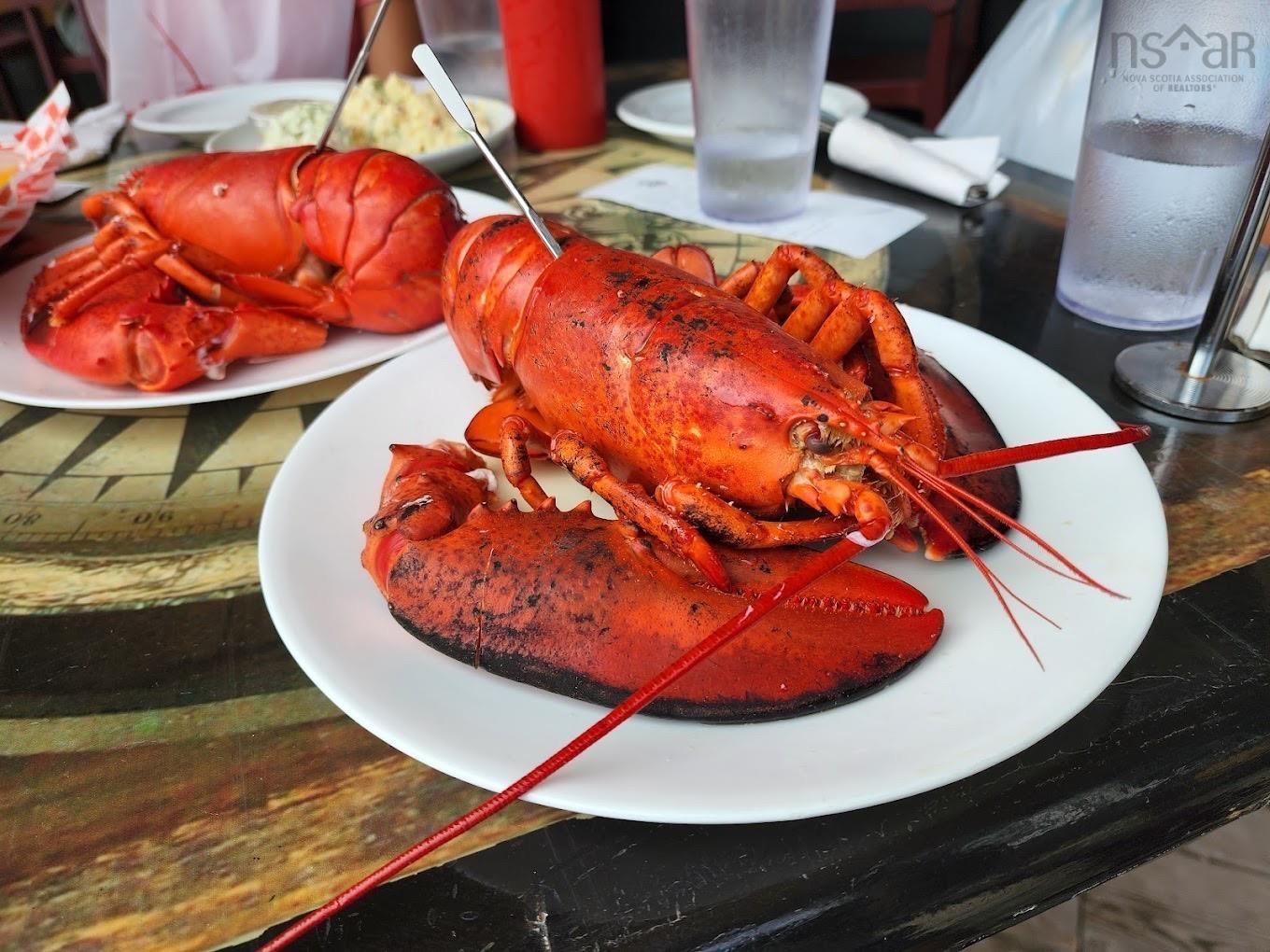 $49,000.00: Lot 10 Huntington Point Road, Mountain Front