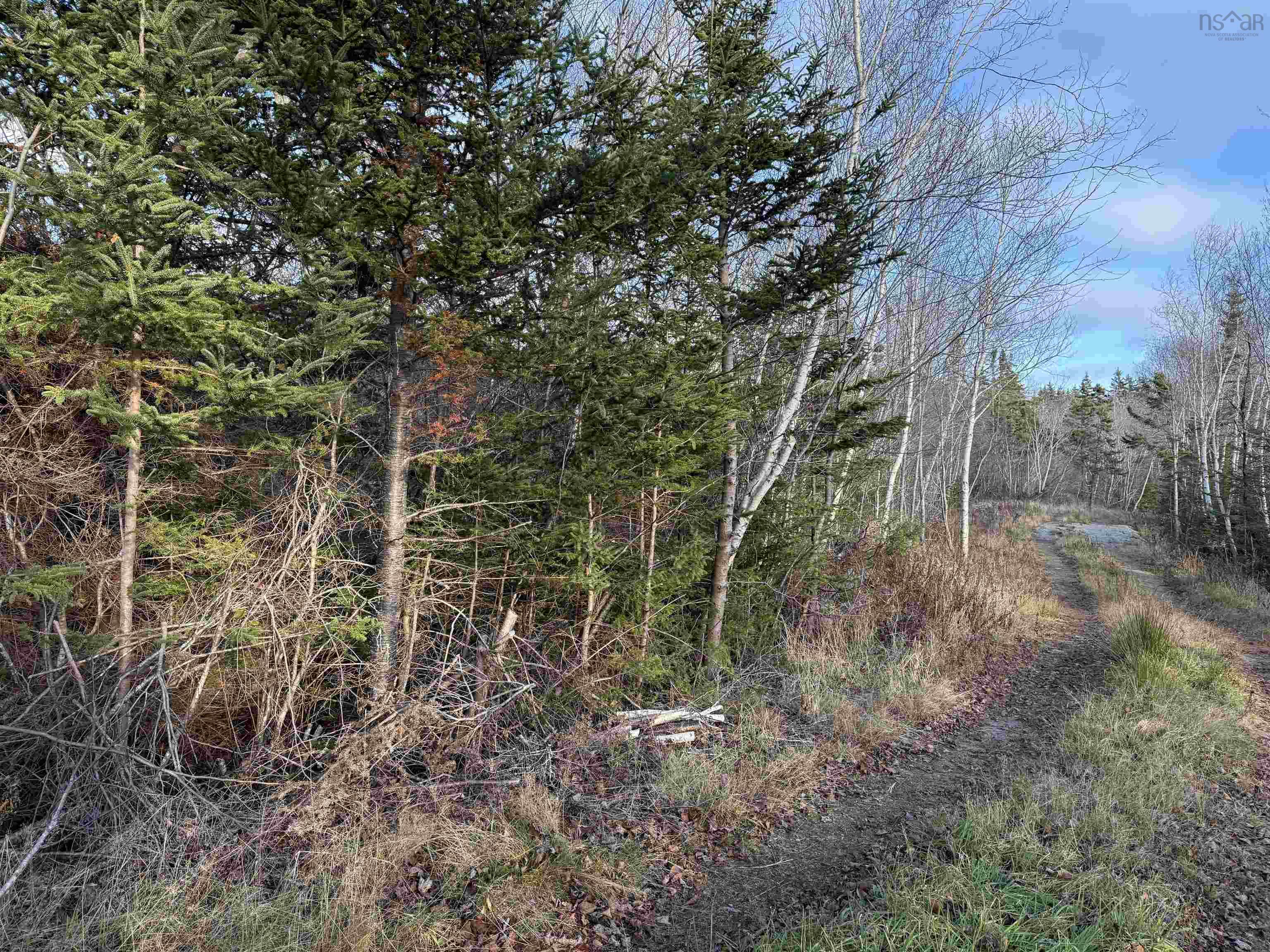 $39,000.00: Lot 2 Sandy Point Road, Sandy Point