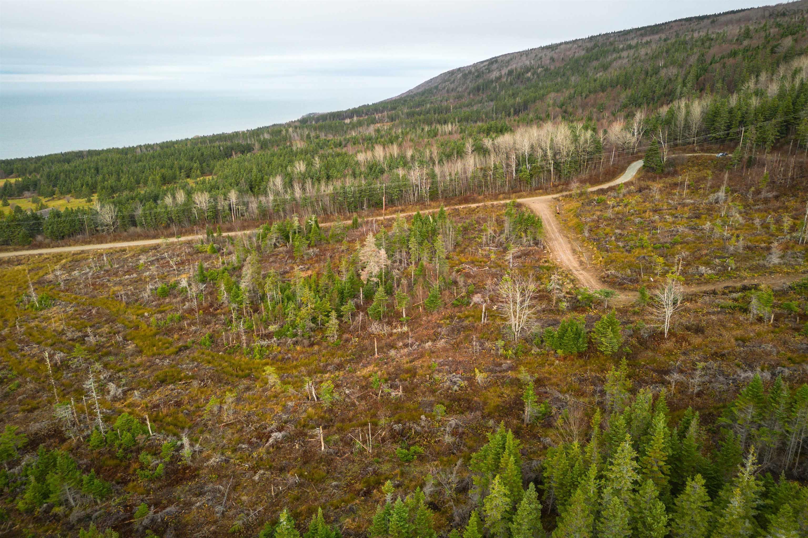$49,000.00: Lot 14 Creignish Mountain Road, Creignish