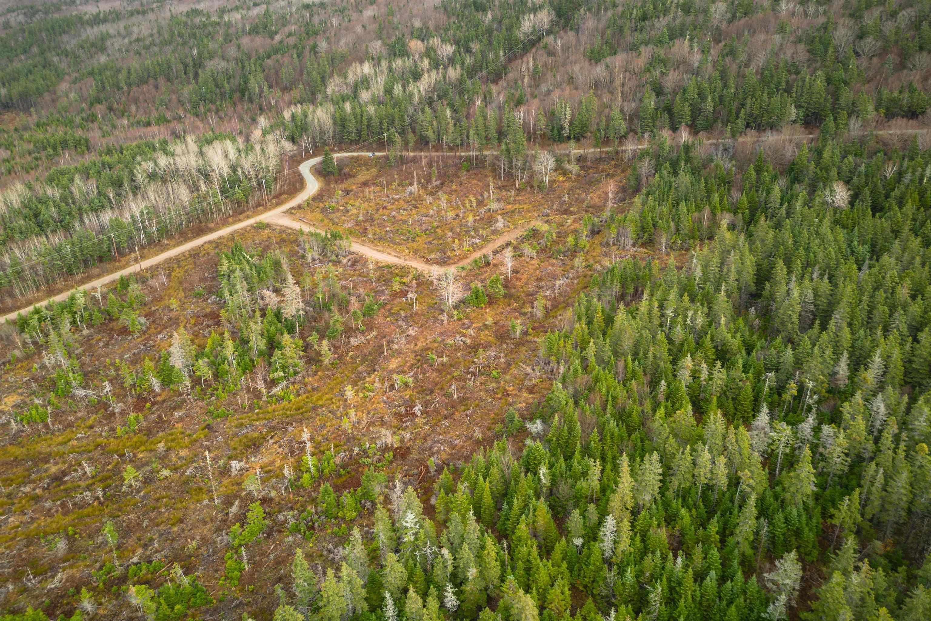 $49,000.00: Lot 16 Creignish Mountain Road, Creignish