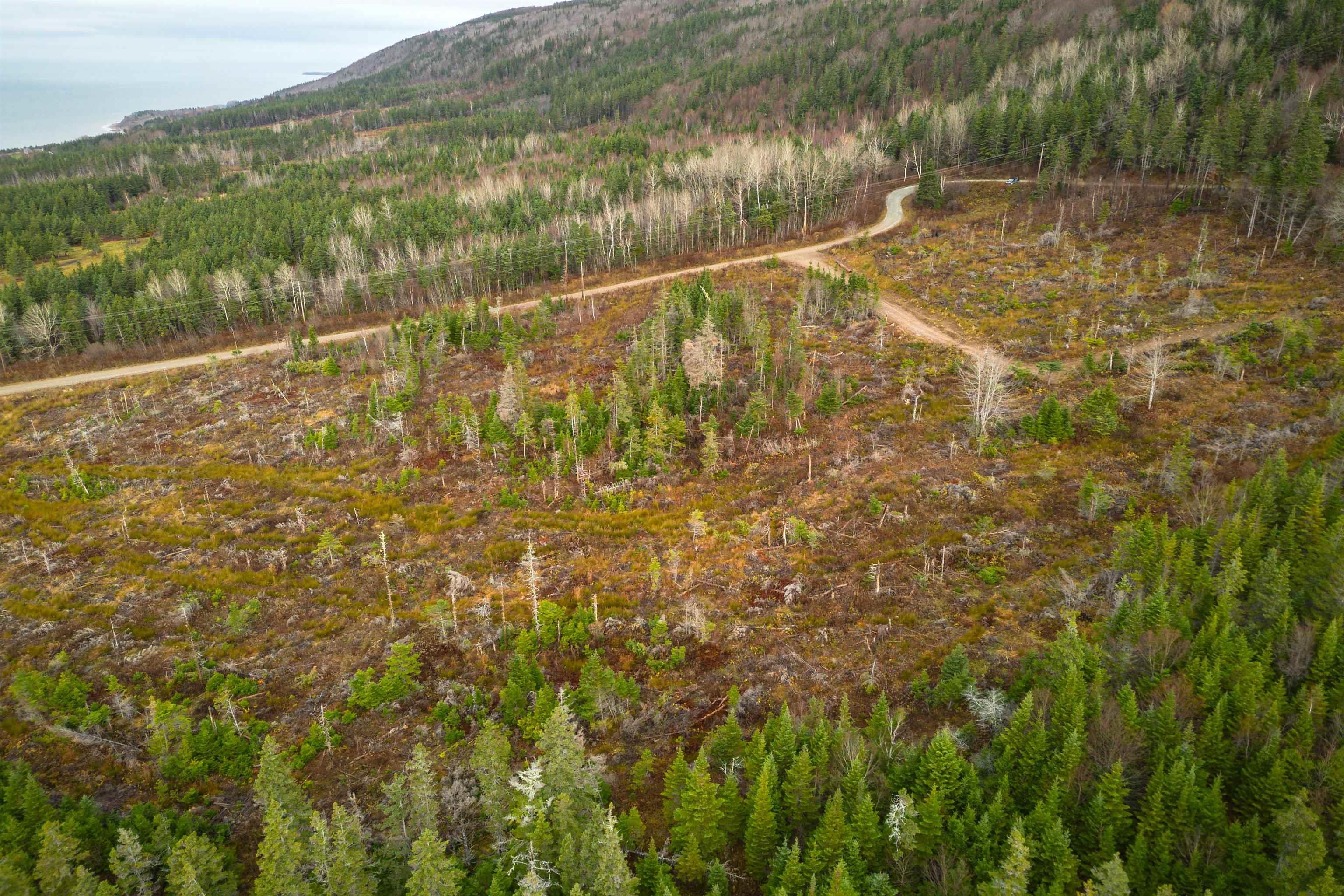 $49,000.00: Lot 16 Creignish Mountain Road, Creignish