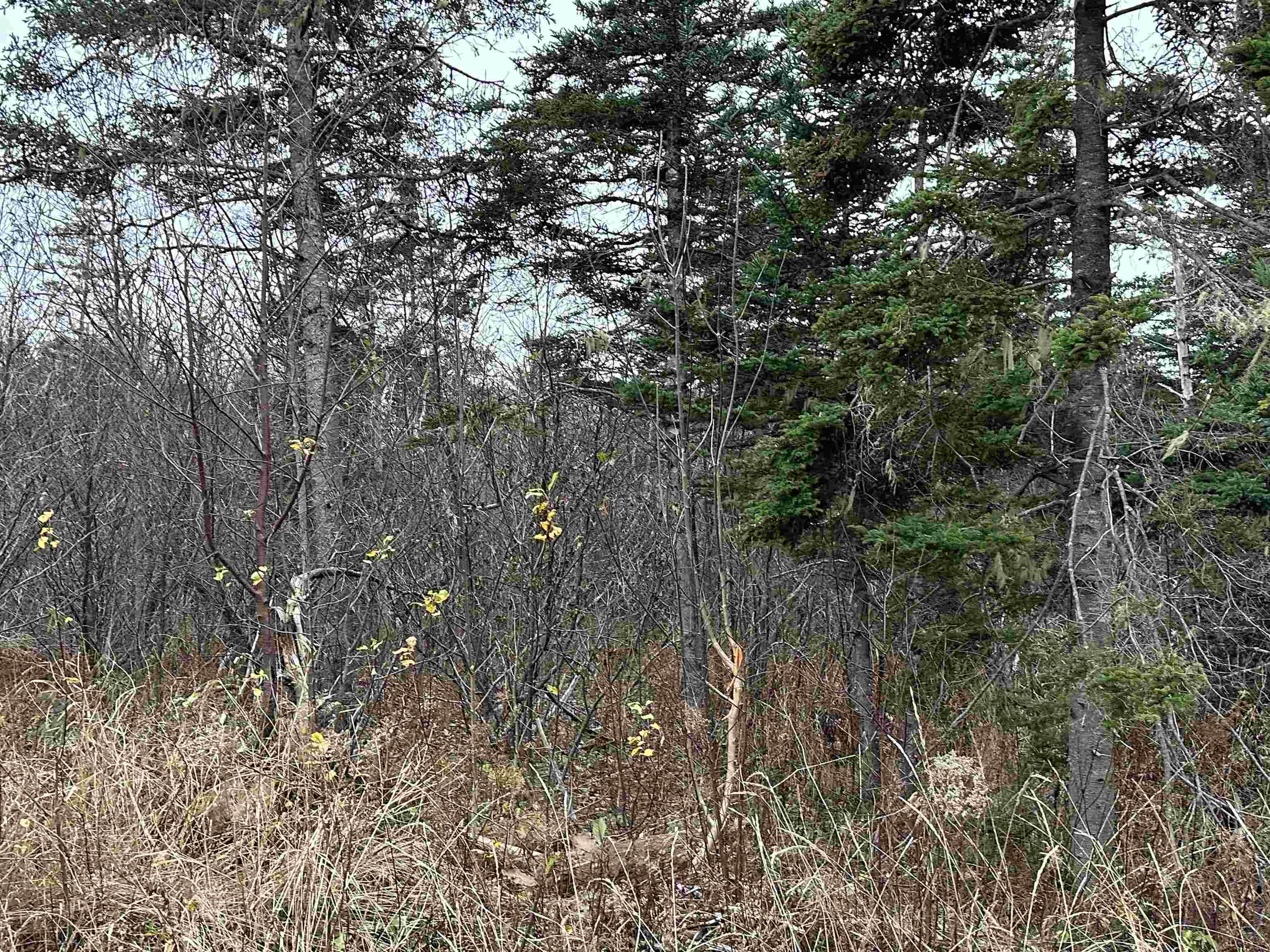 $34,900.00: 2225 Dodge Road, Margaretsville