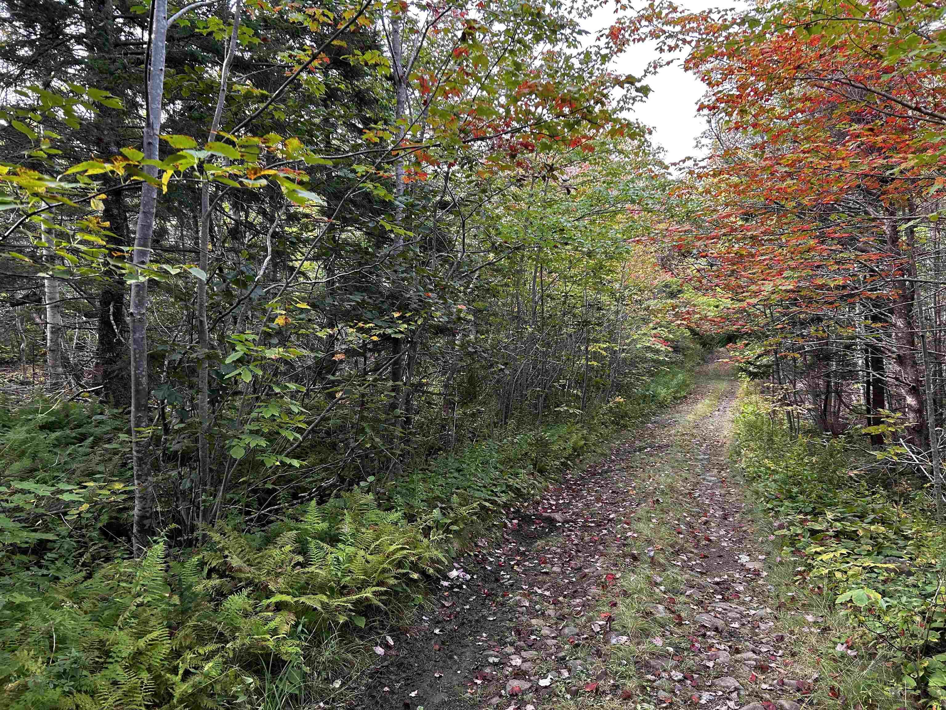 $39,000.00: Lot Broad Cove Road, Culloden