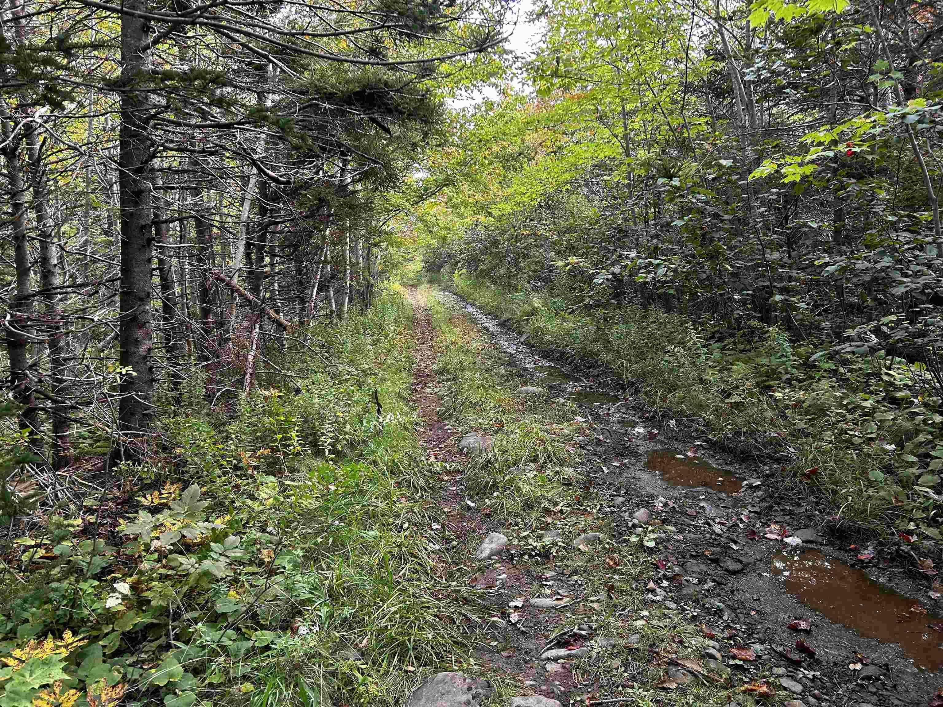 $39,000.00: Lot Broad Cove Road, Culloden