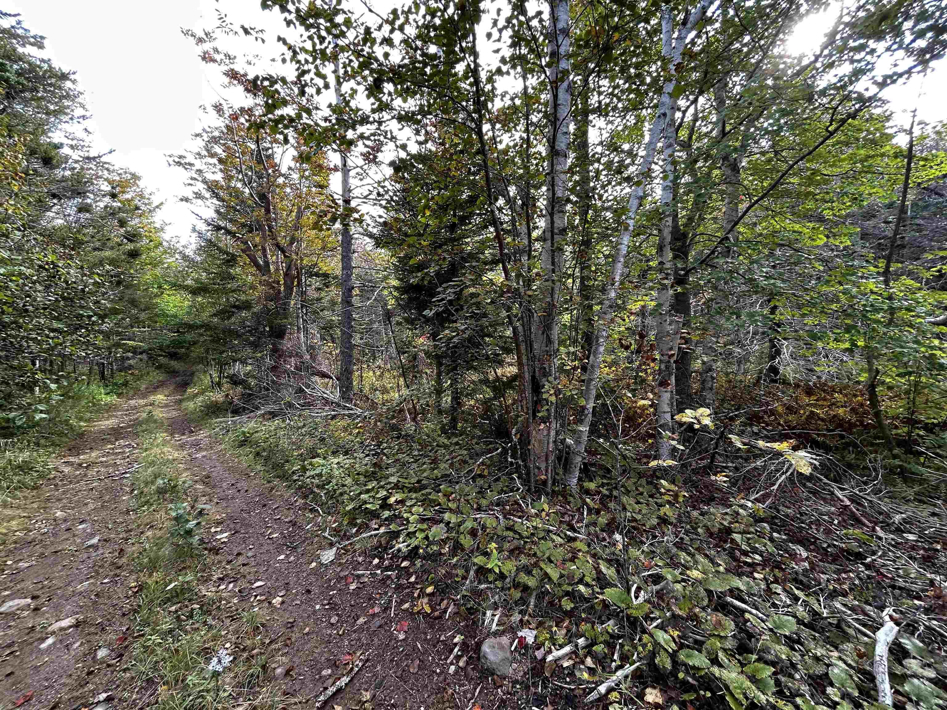 $39,000.00: Lot Broad Cove Road, Culloden
