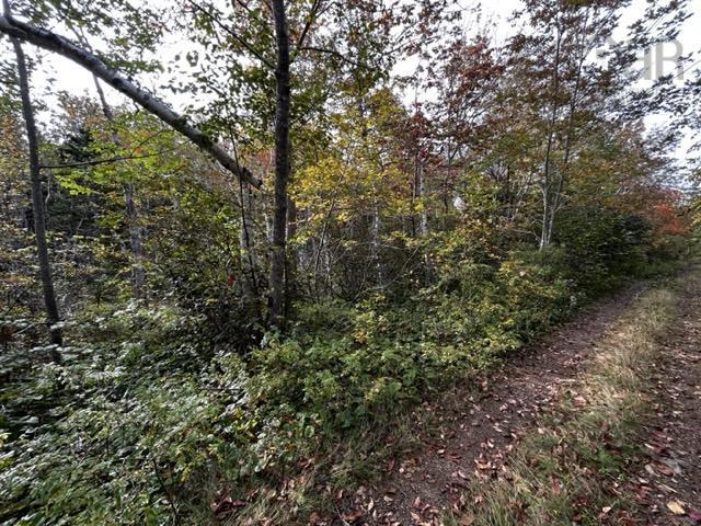 $39,000.00: Lot Broad Cove Road, Culloden