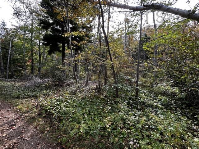 $39,000.00: Lot Broad Cove Road, Culloden