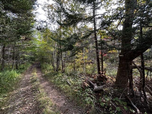 $39,000.00: Lot Broad Cove Road, Culloden