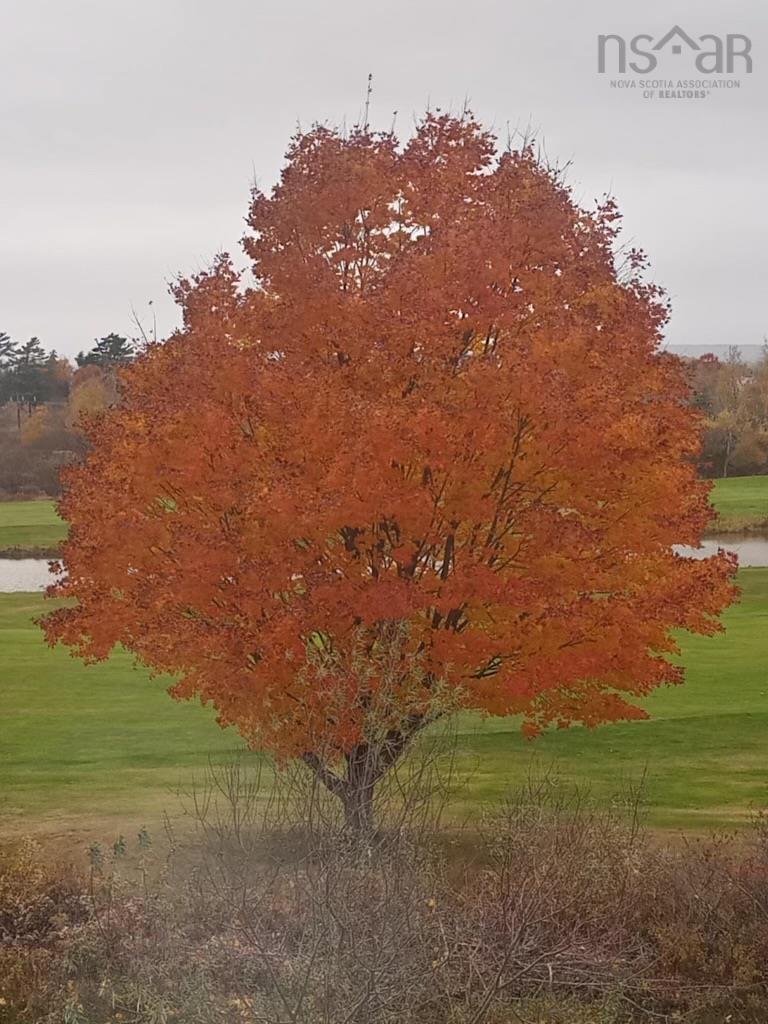 $425,000.00: 70 Robertson Crescent, Truro