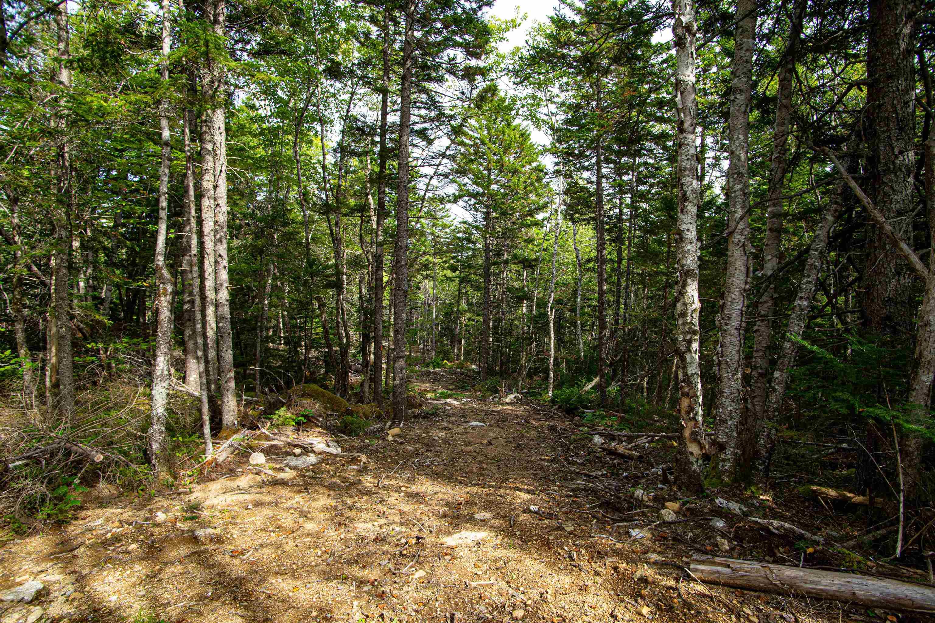 $149,000.00: Lot Victory Road, Greenland
