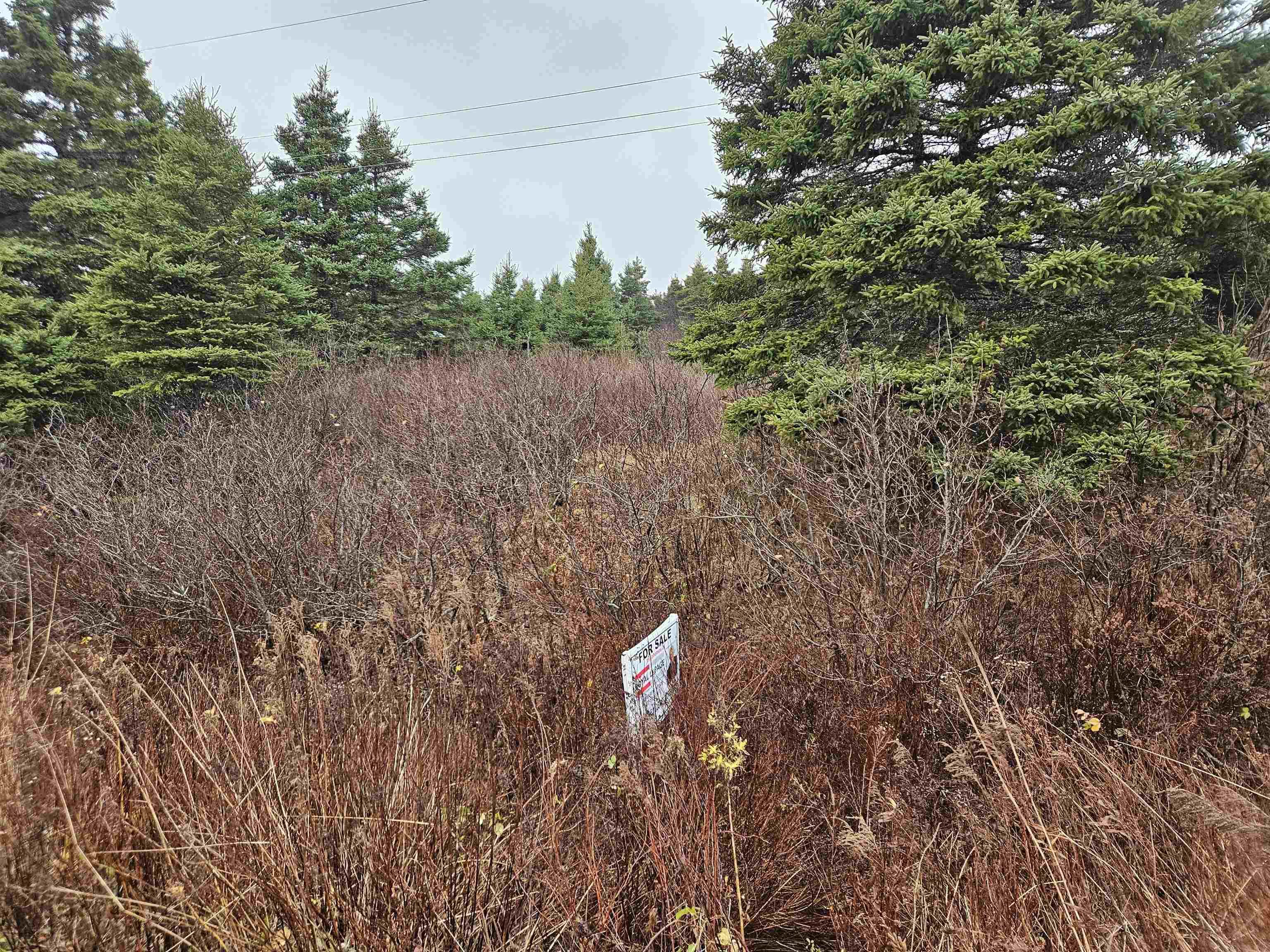 $33,900.00: Lot 11-1 Wharf Road, Ecum Secum