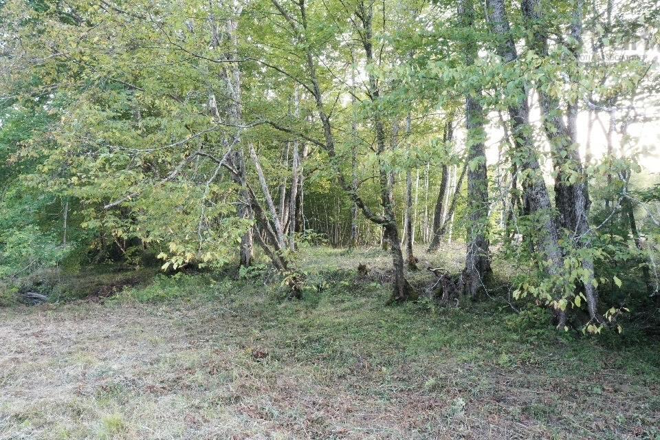 $169,000.00: River Bend Lane, Balfron