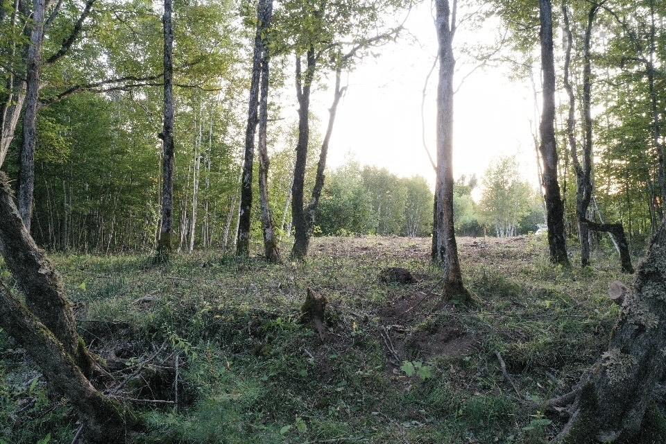 $169,000.00: River Bend Lane, Balfron