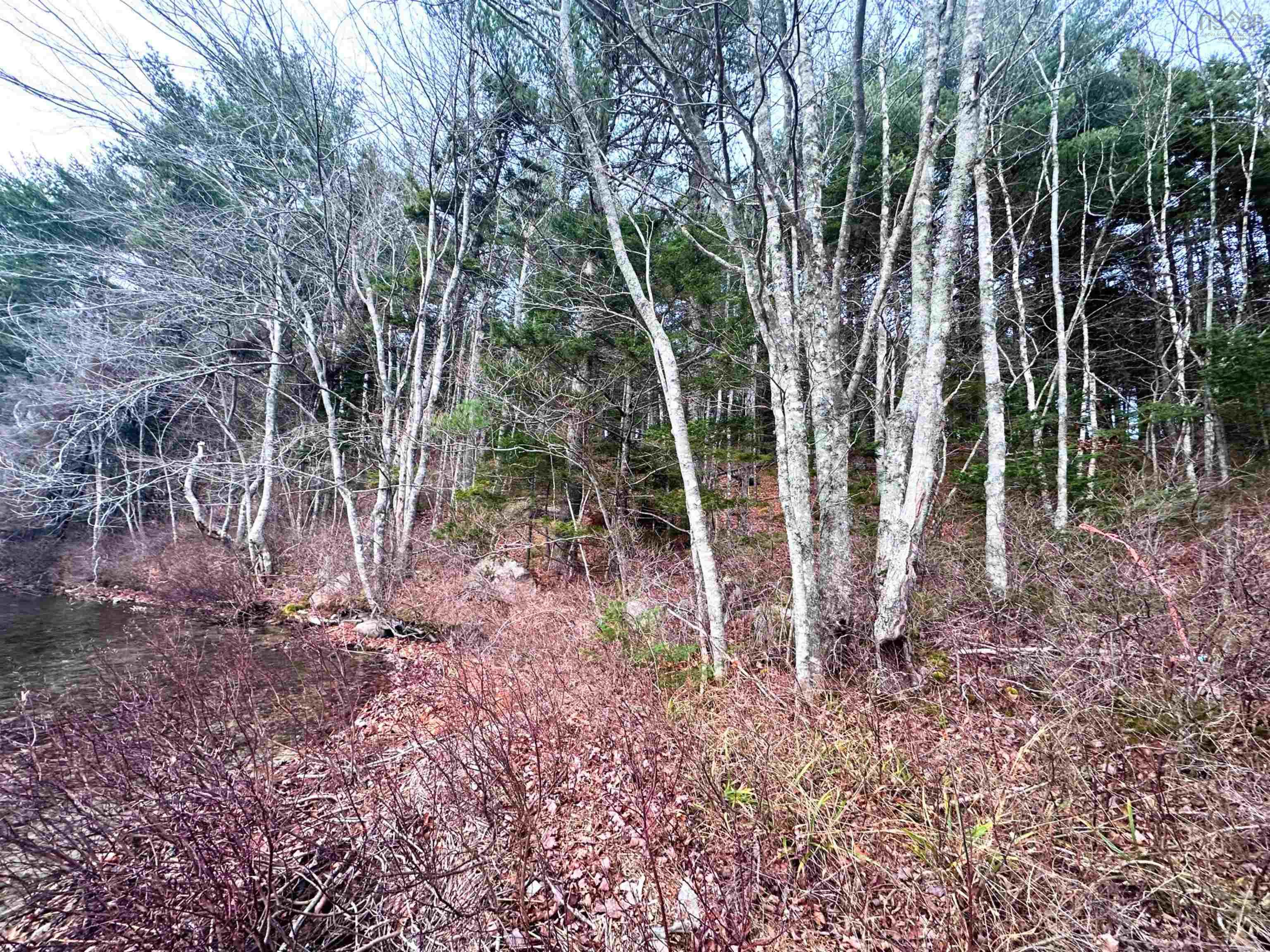 $99,900.00: Lot 10 Ernest Marion Drive, Laconia