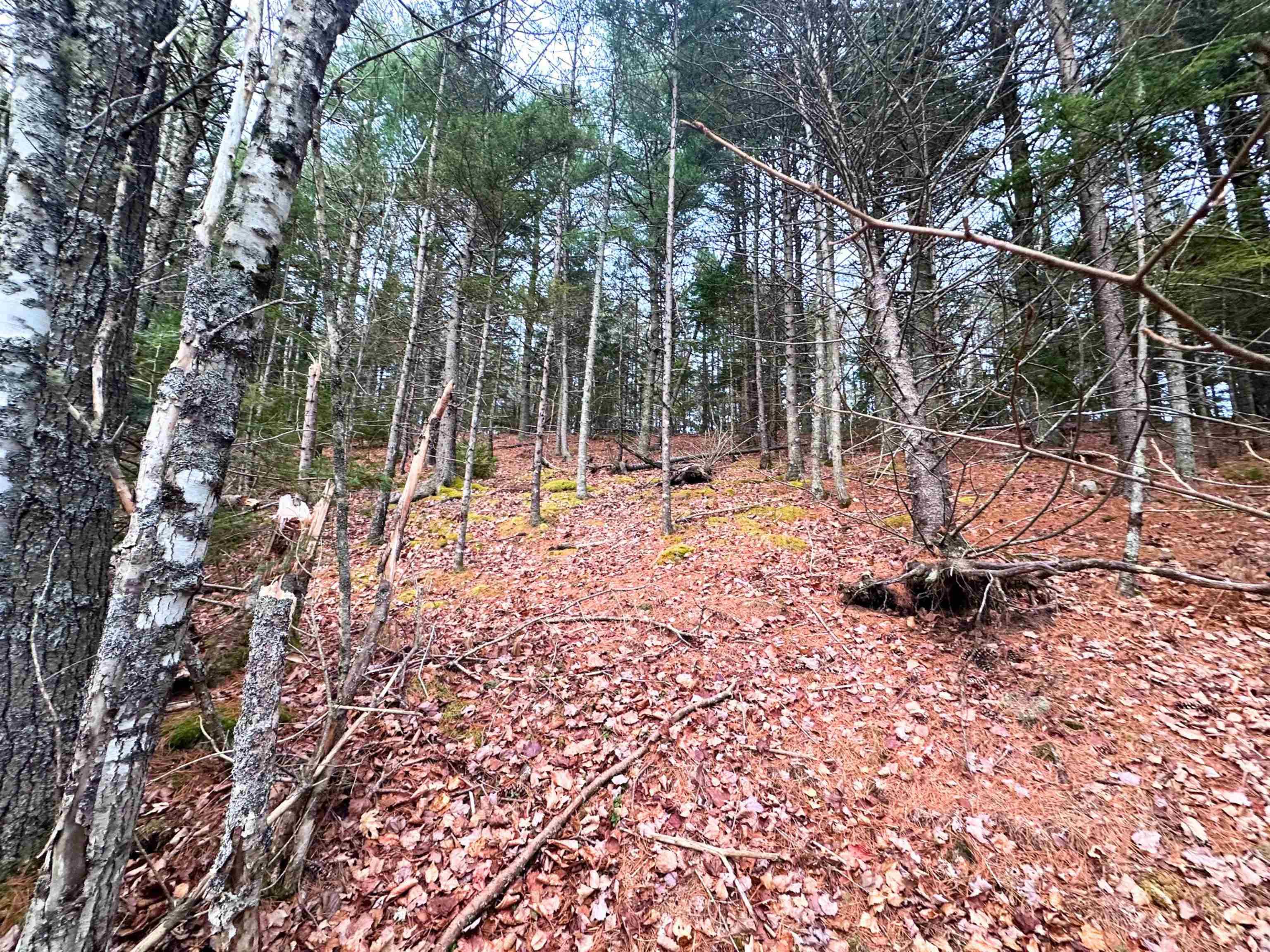 $99,900.00: Lot 10 Ernest Marion Drive, Laconia