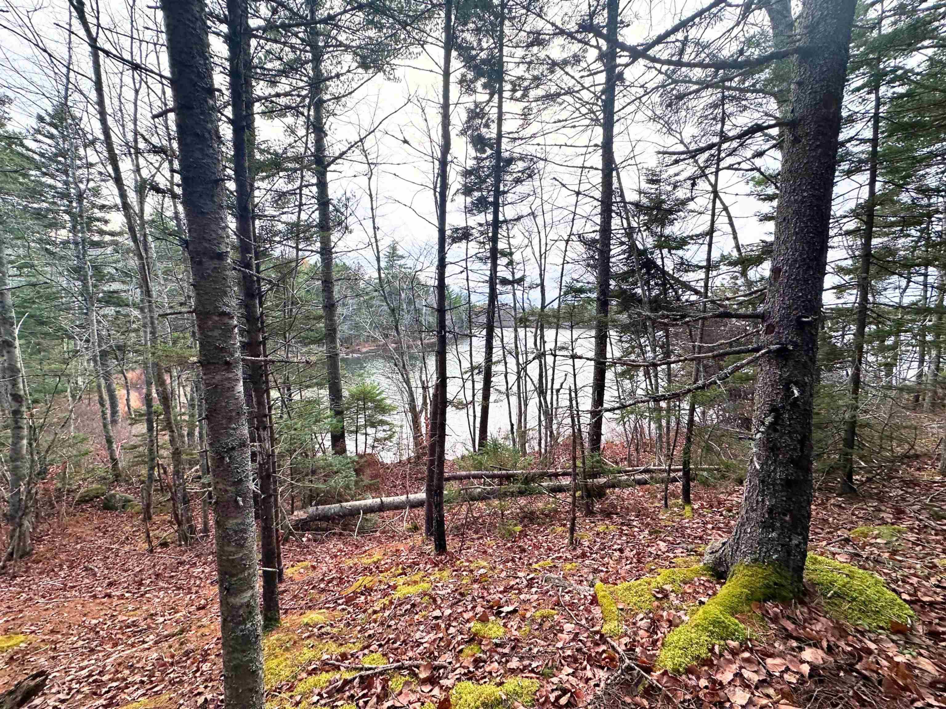 $99,900.00: Lot 10 Ernest Marion Drive, Laconia