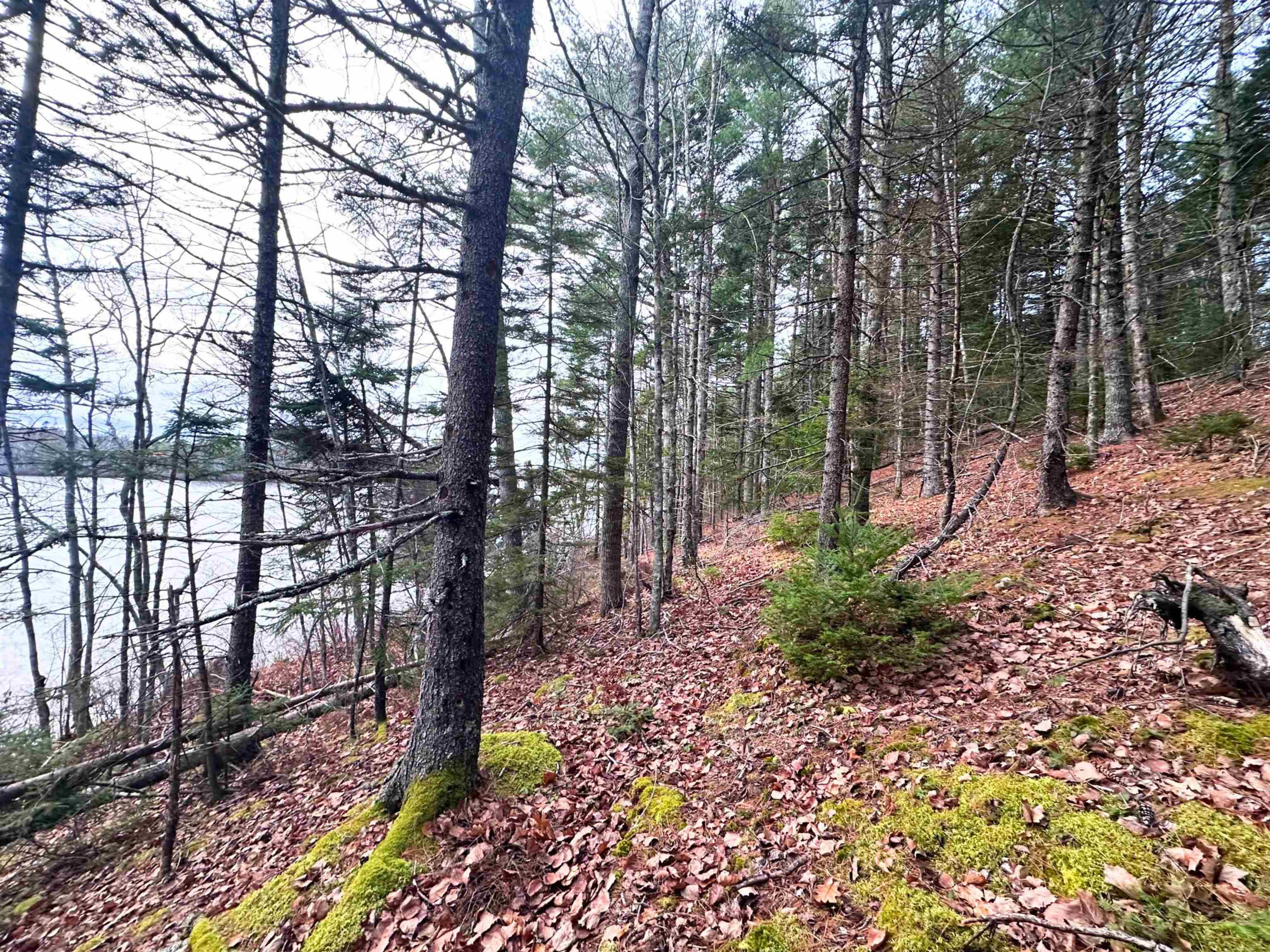 $99,900.00: Lot 10 Ernest Marion Drive, Laconia