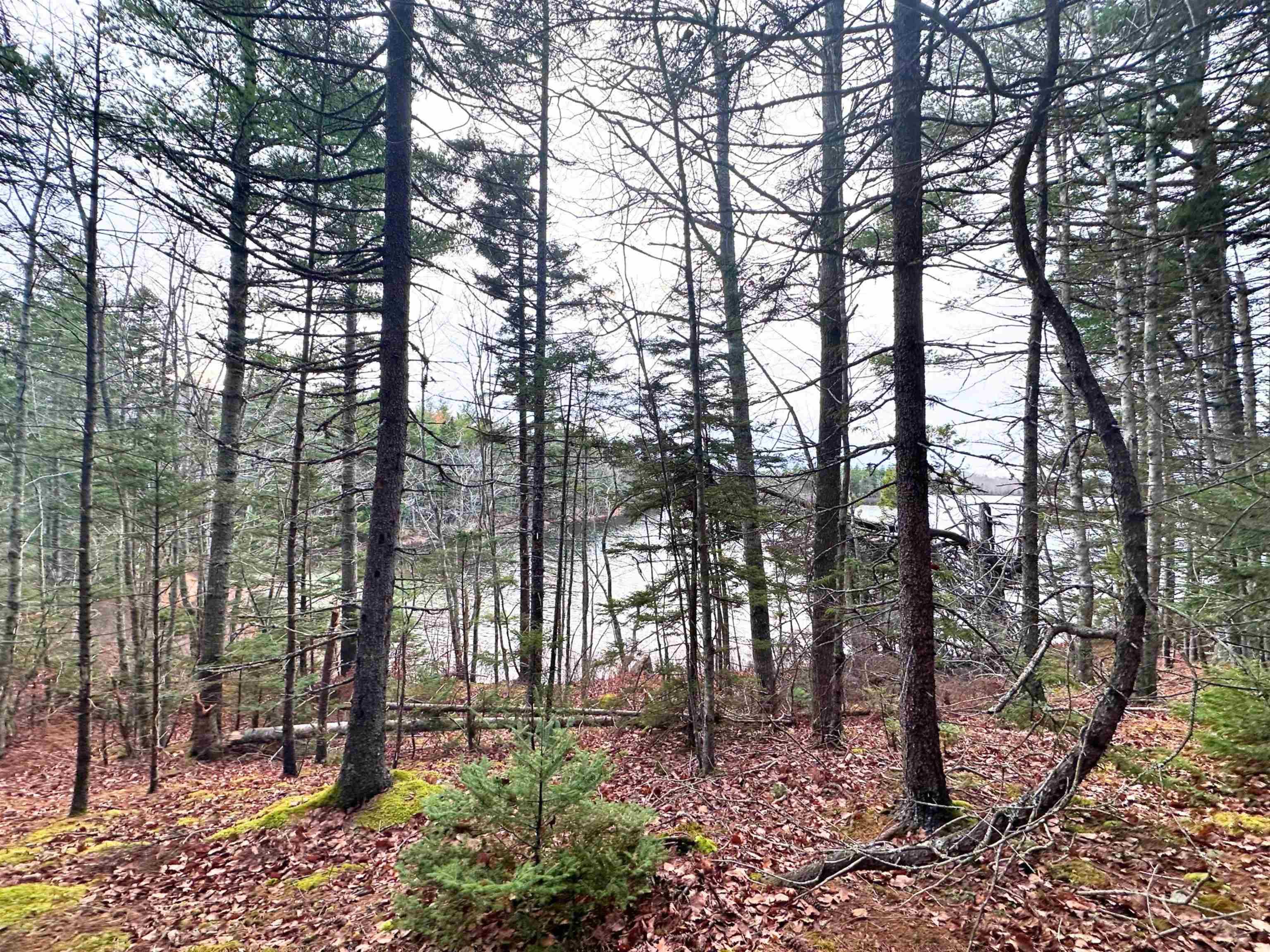 $99,900.00: Lot 10 Ernest Marion Drive, Laconia