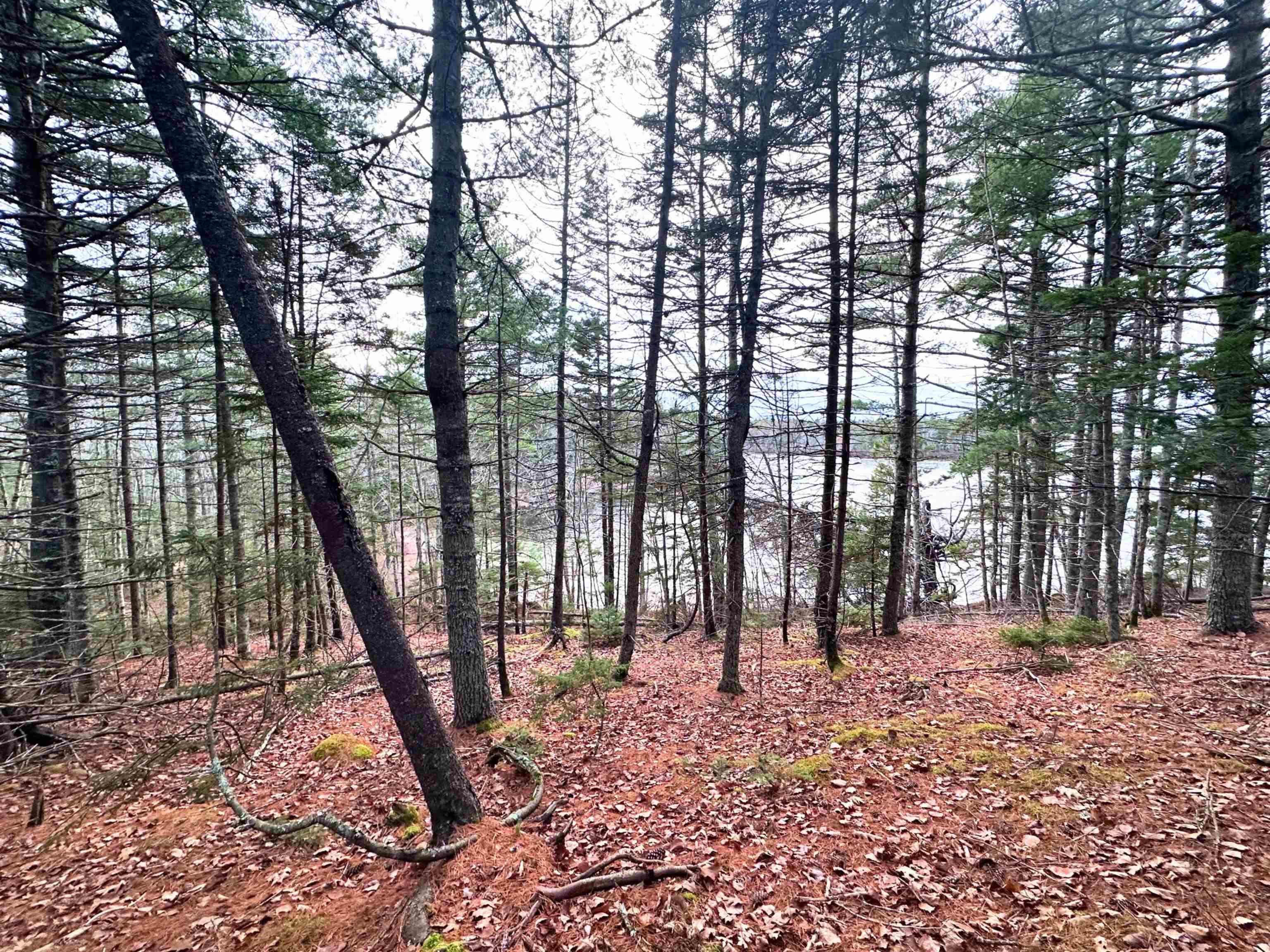 $99,900.00: Lot 10 Ernest Marion Drive, Laconia