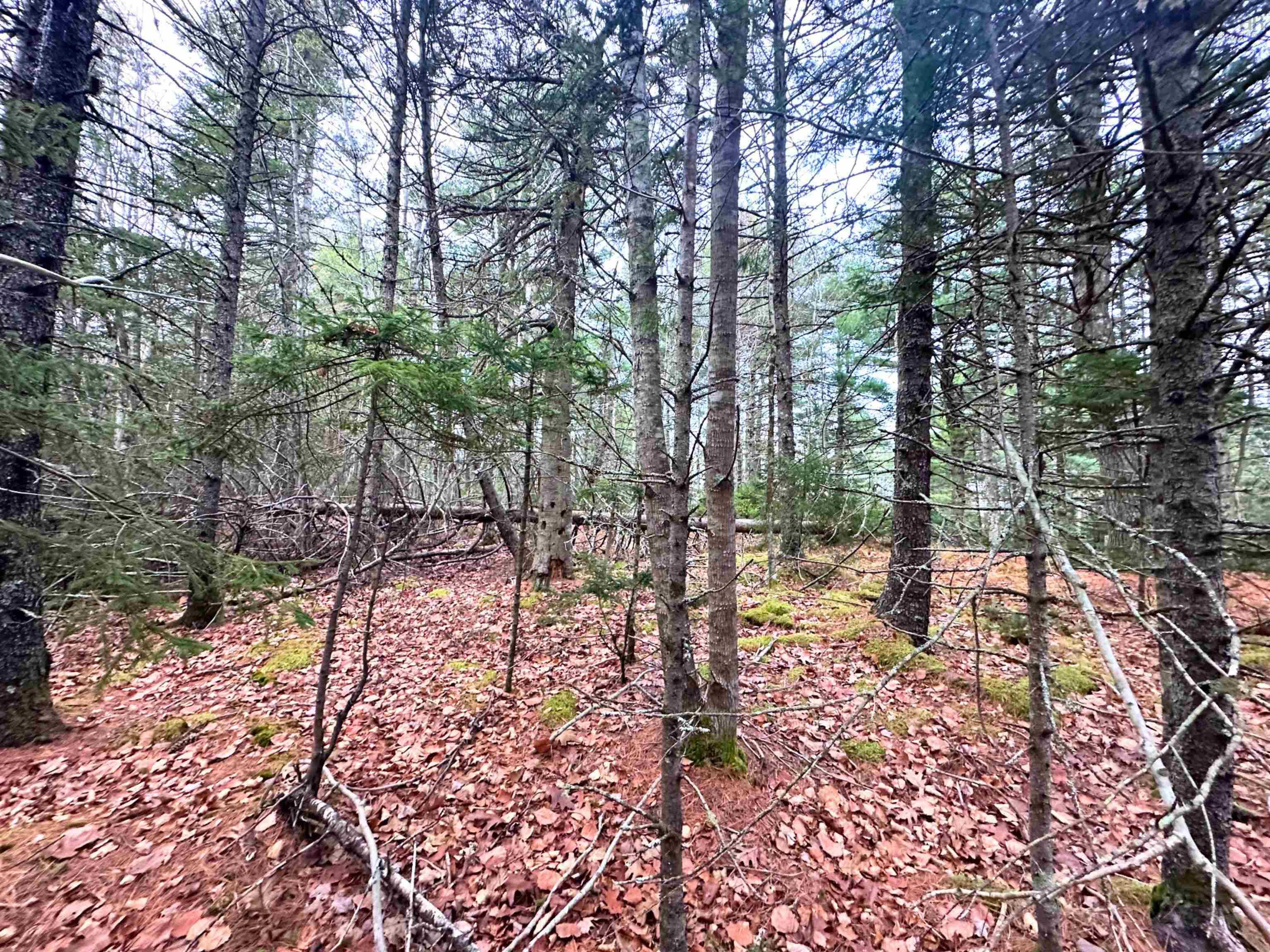 $99,900.00: Lot 10 Ernest Marion Drive, Laconia