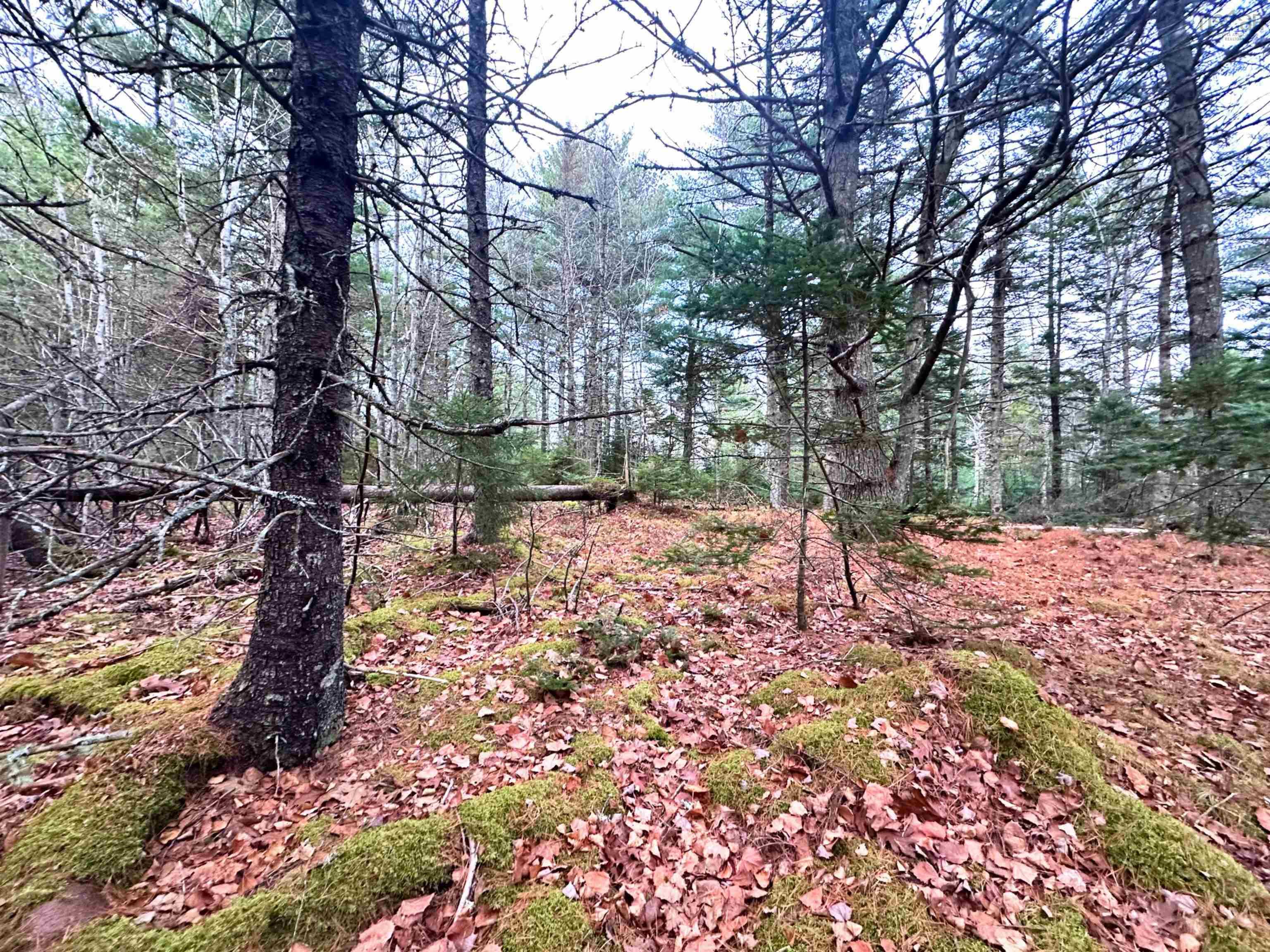 $99,900.00: Lot 10 Ernest Marion Drive, Laconia