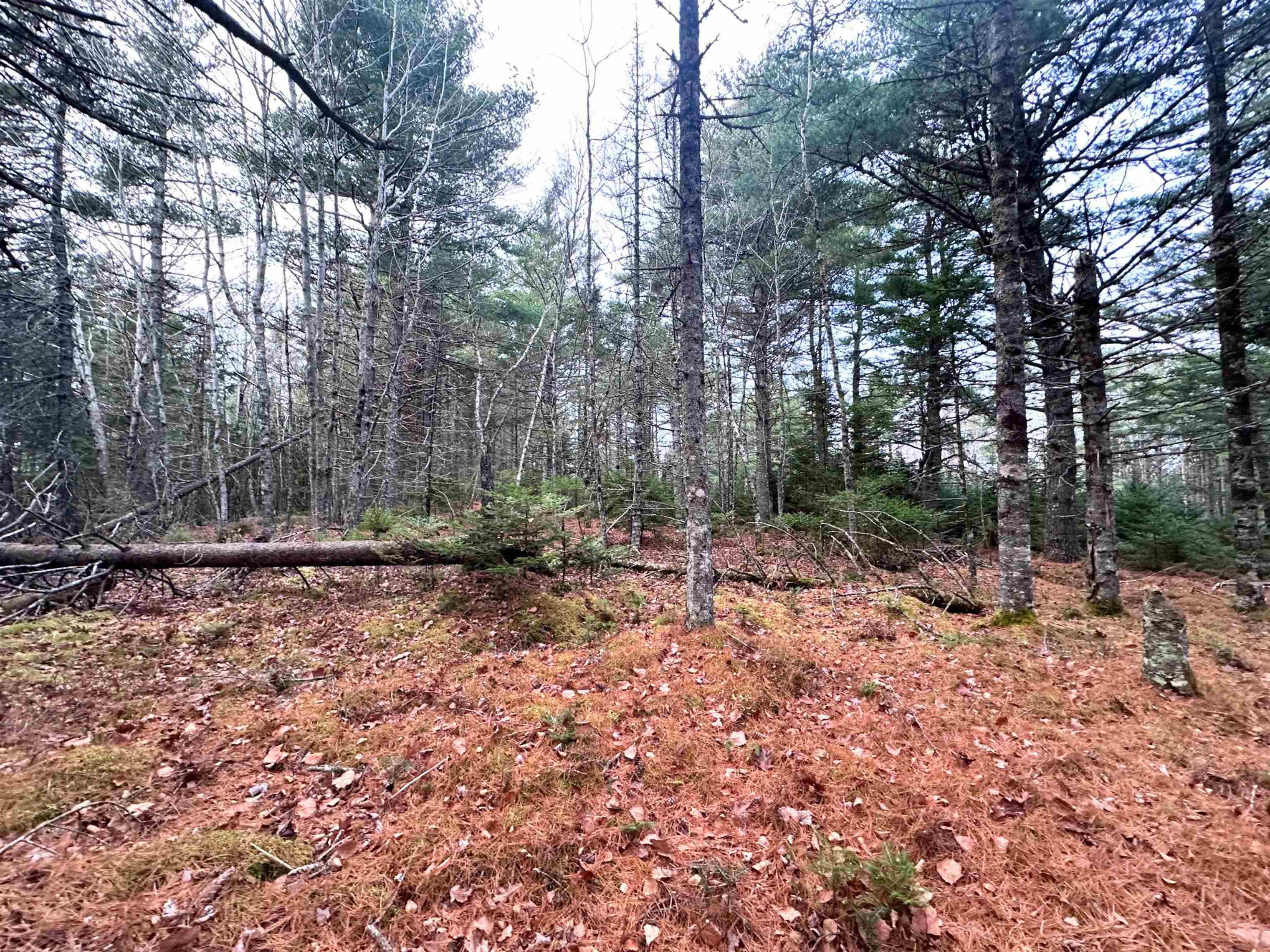 $99,900.00: Lot 10 Ernest Marion Drive, Laconia