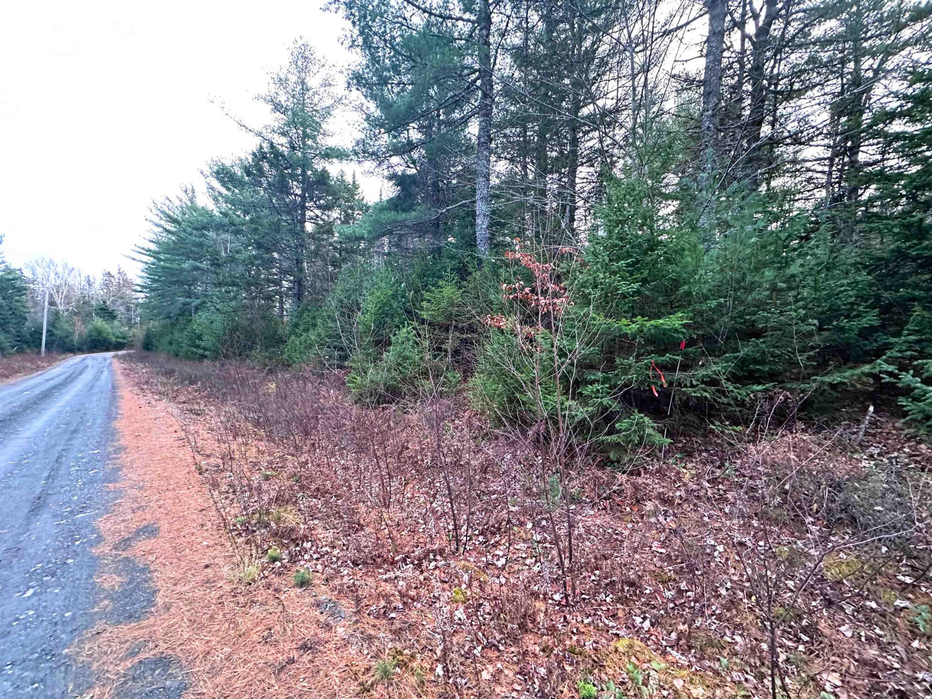 $99,900.00: Lot 10 Ernest Marion Drive, Laconia