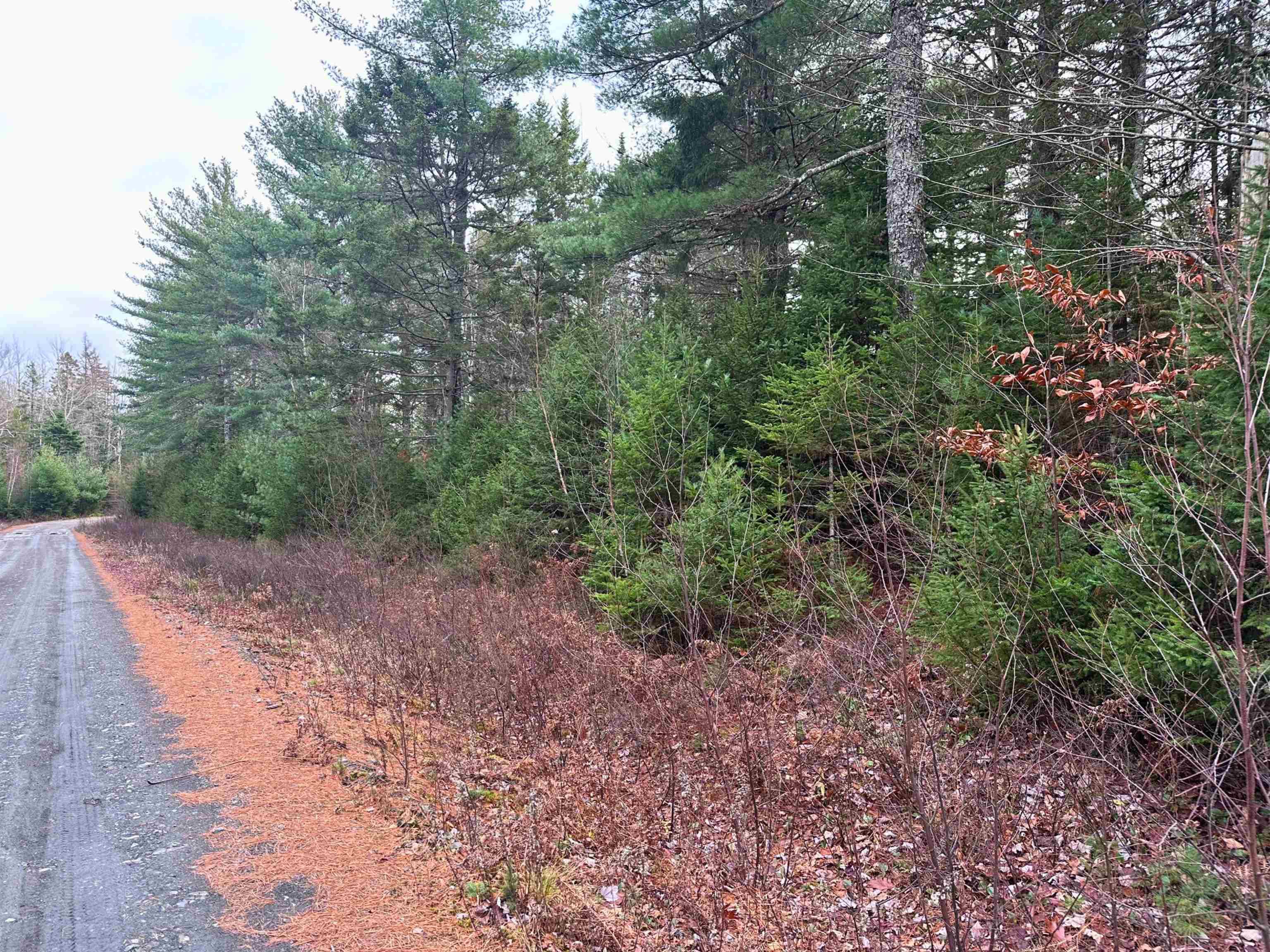 $99,900.00: Lot 10 Ernest Marion Drive, Laconia