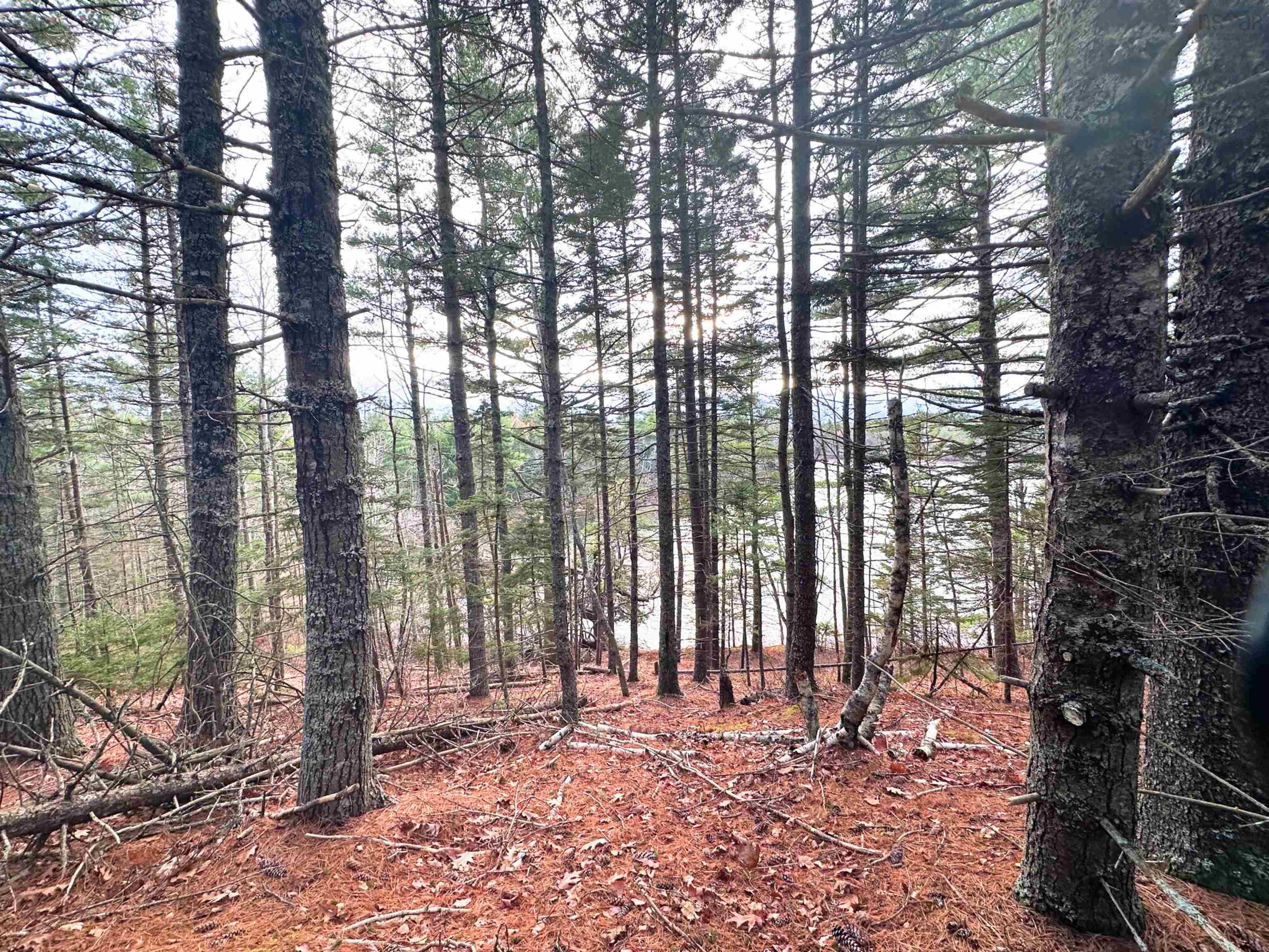 $99,900.00: Lot 10 Ernest Marion Drive, Laconia