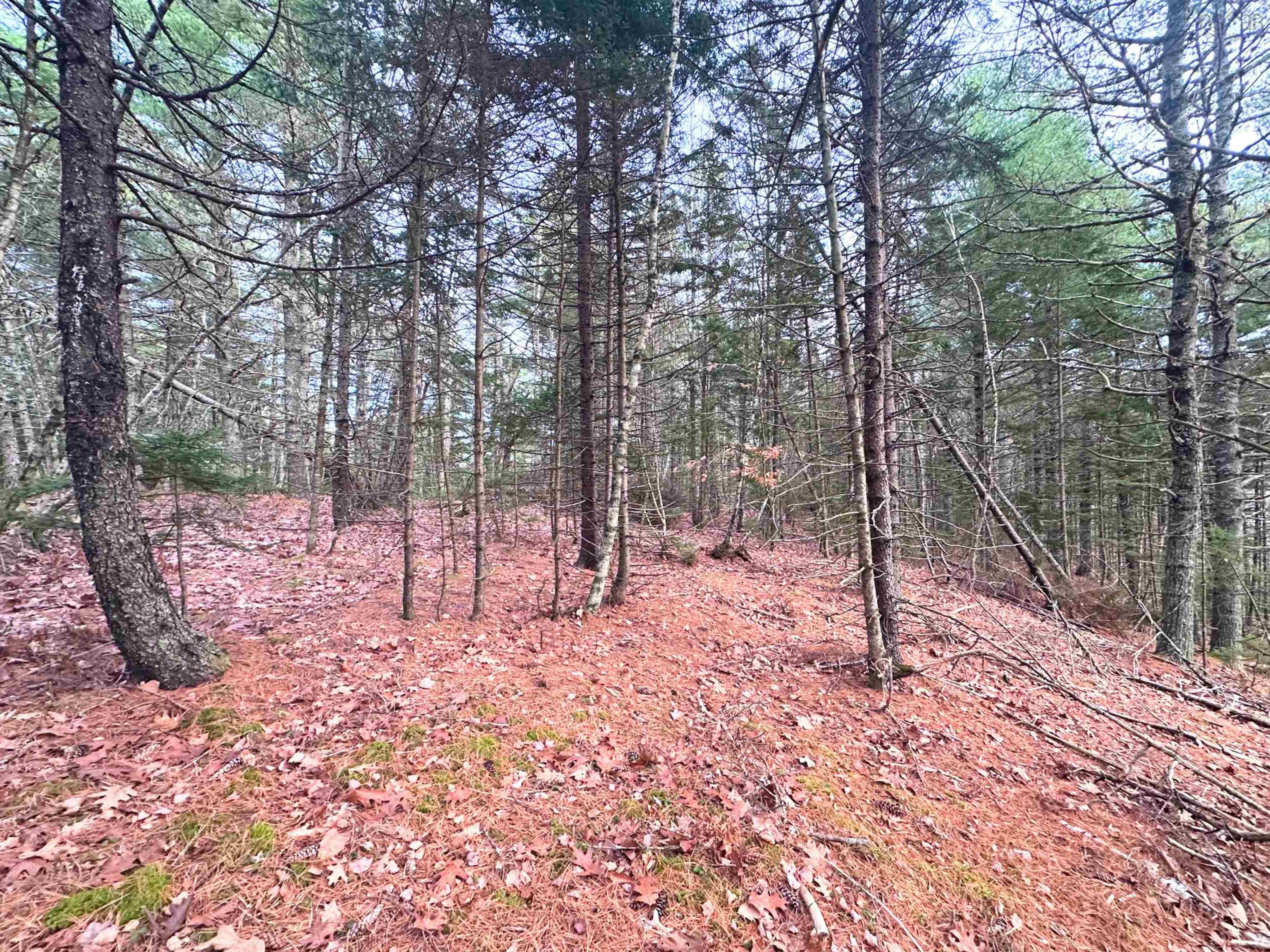 $99,900.00: Lot 10 Ernest Marion Drive, Laconia