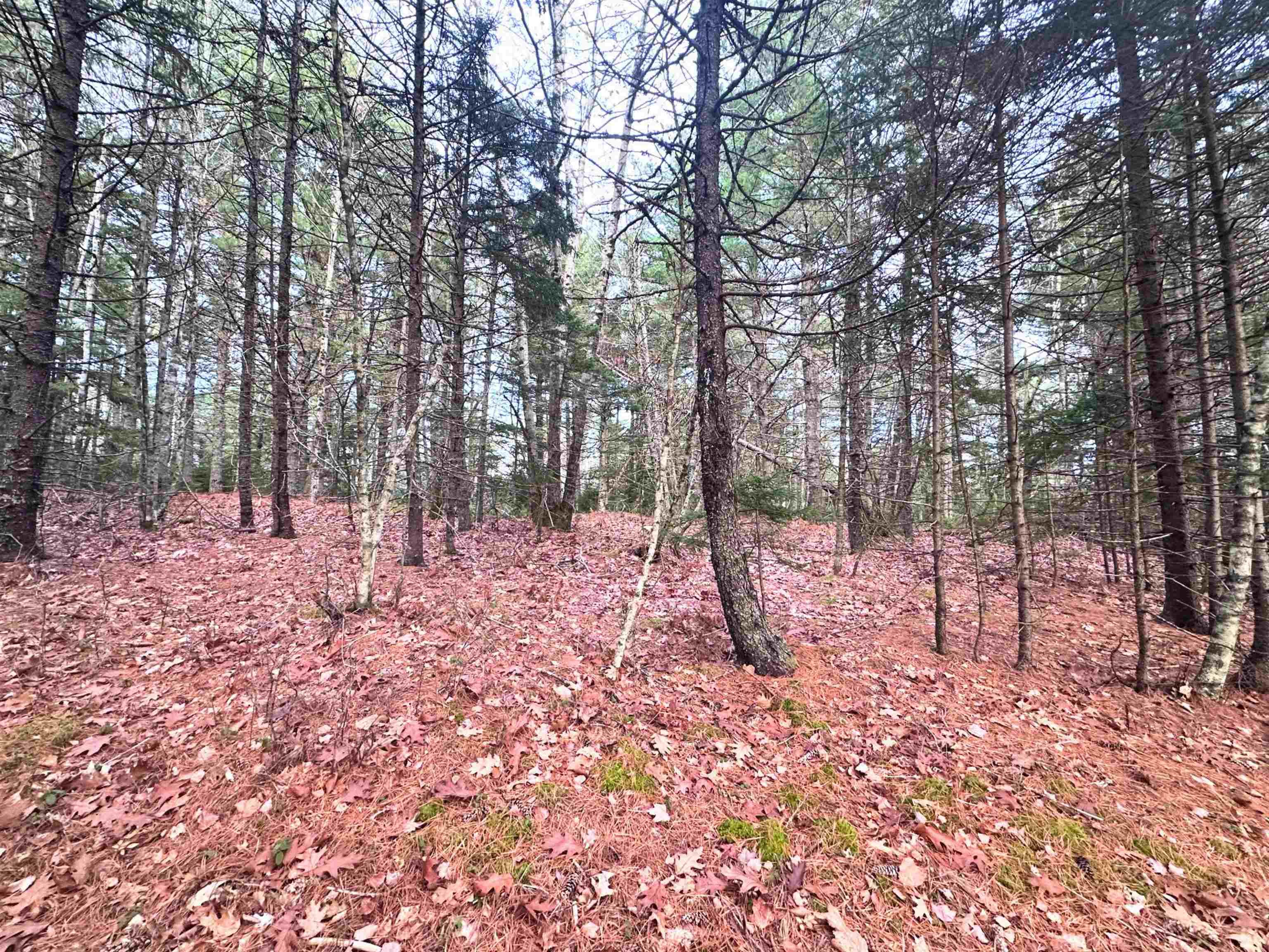 $99,900.00: Lot 10 Ernest Marion Drive, Laconia