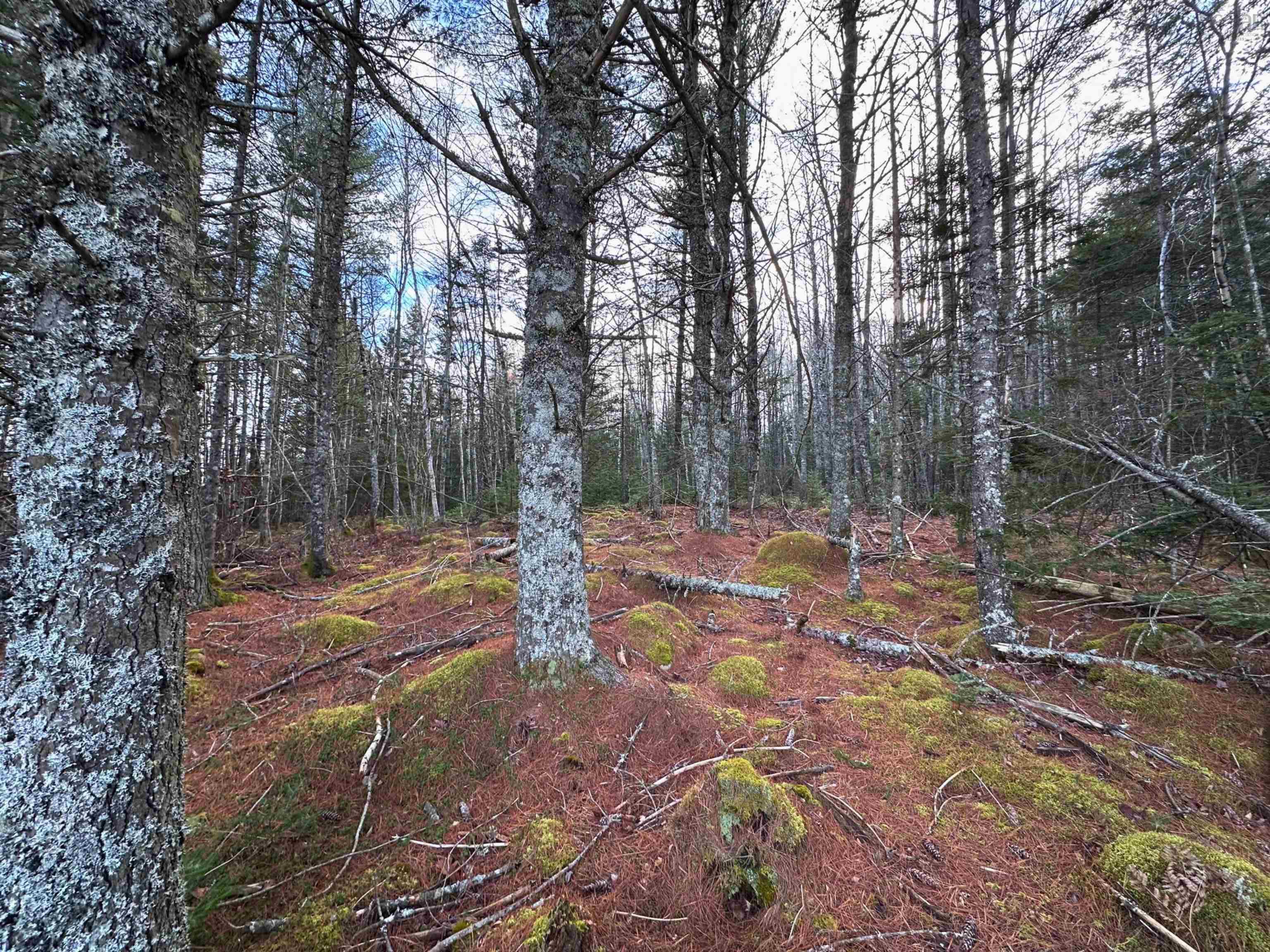 $120,000.00: Lot 18 Ernest Marion Drive, Laconia