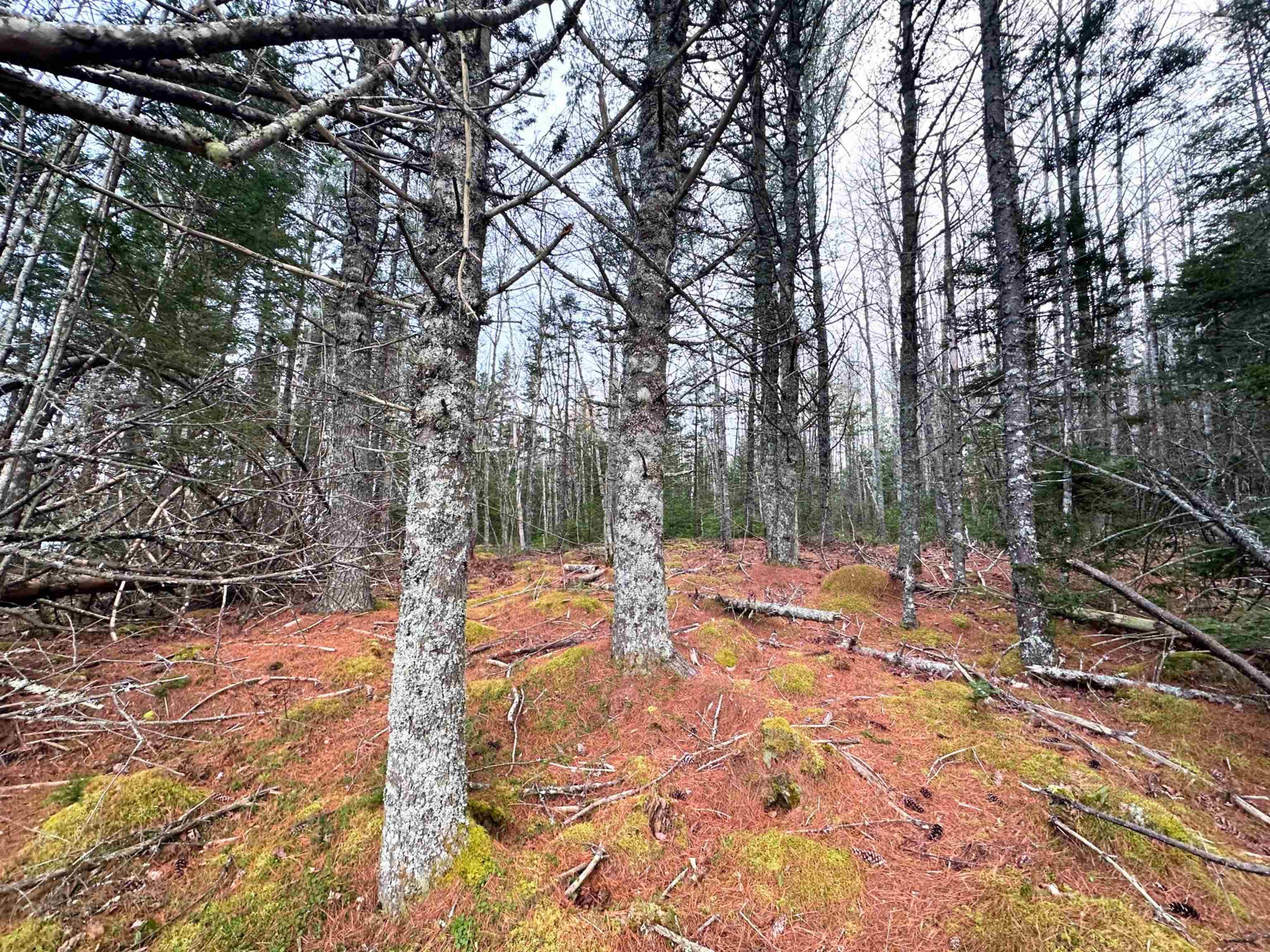 $120,000.00: Lot 18 Ernest Marion Drive, Laconia