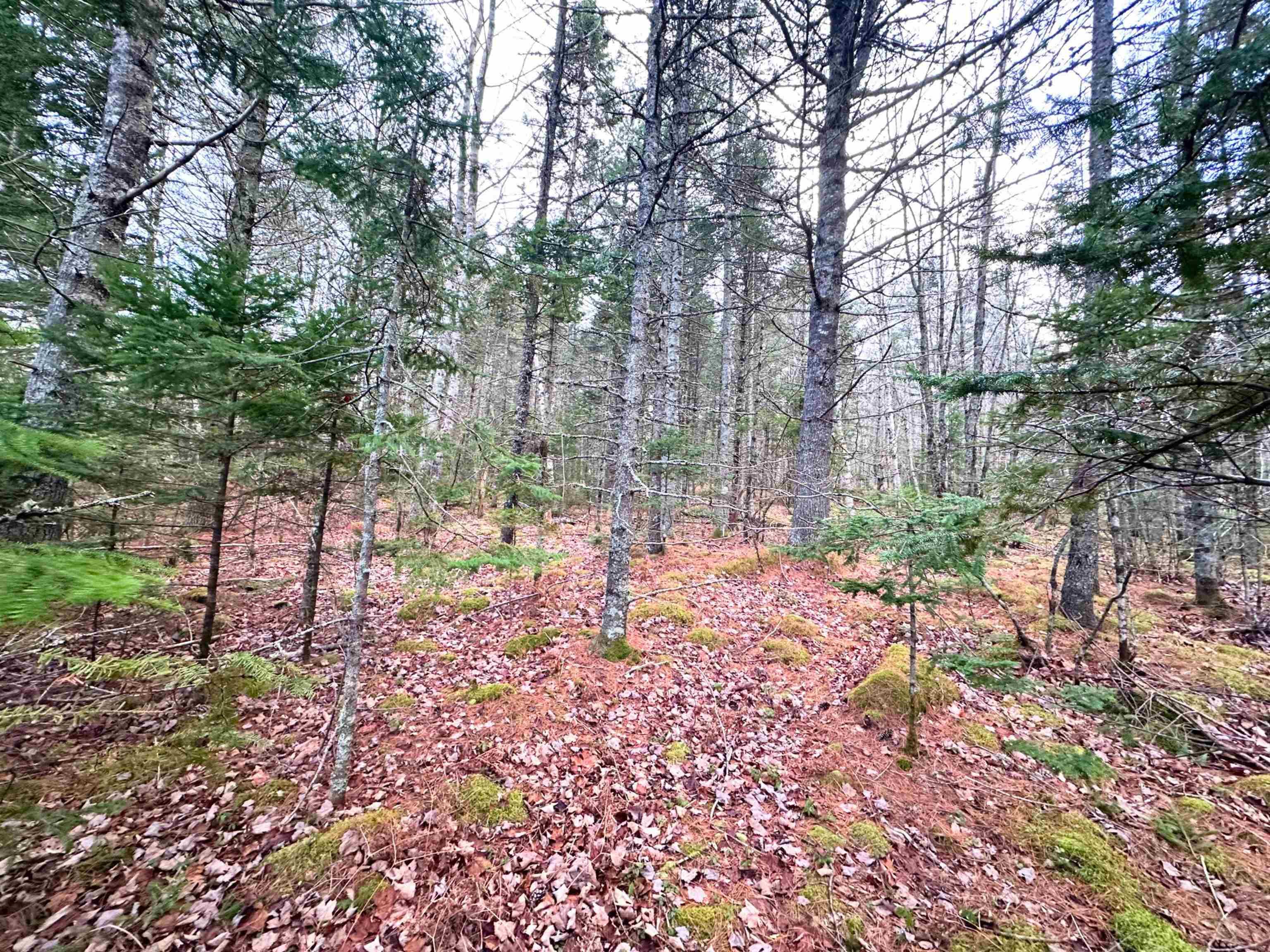 $120,000.00: Lot 18 Ernest Marion Drive, Laconia