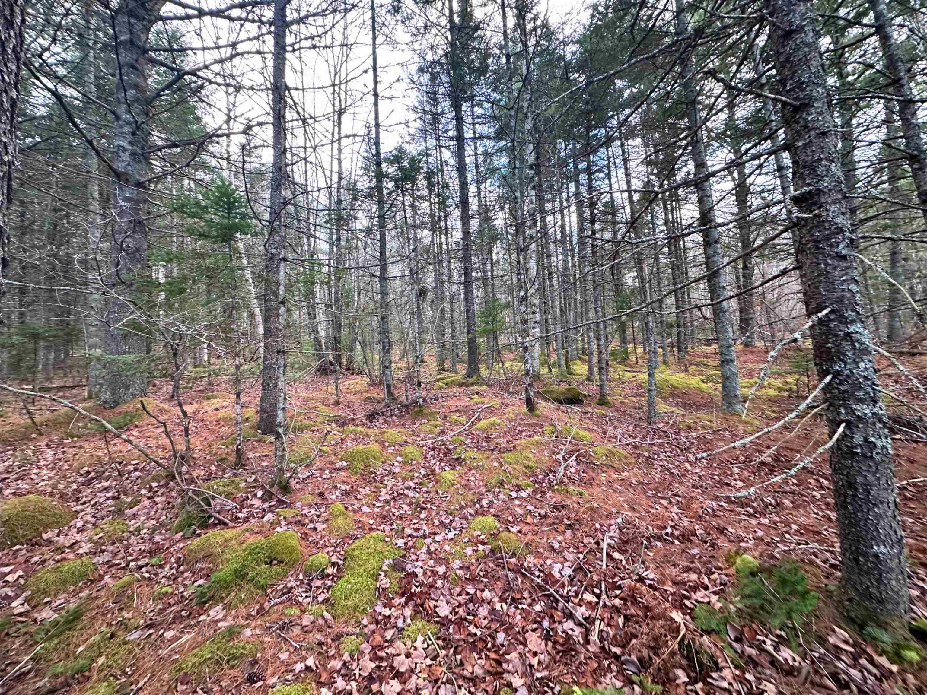 $120,000.00: Lot 18 Ernest Marion Drive, Laconia