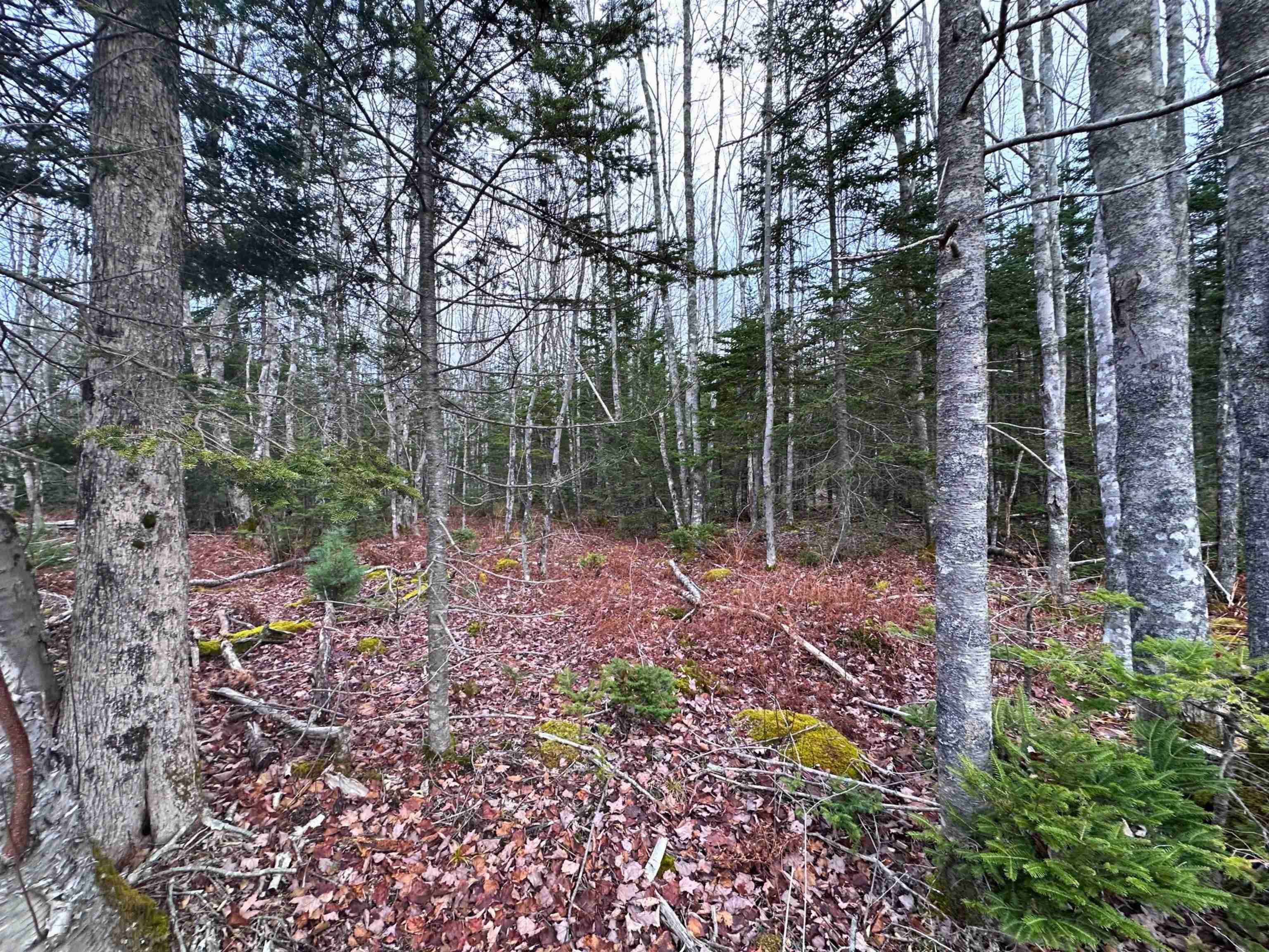 $36,000.00: Lot 21 Ernest Marion Drive, Laconia