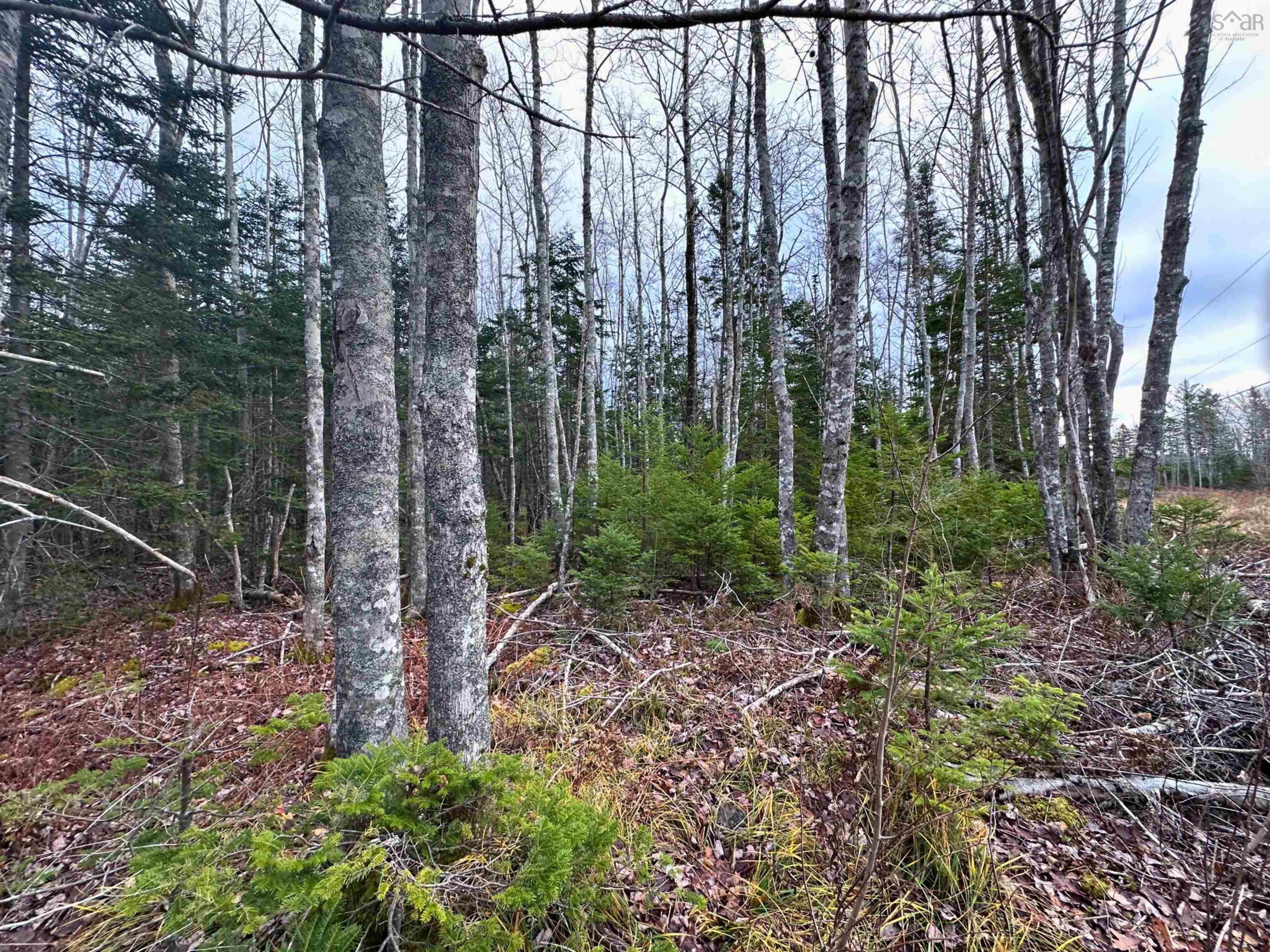 $36,000.00: Lot 21 Ernest Marion Drive, Laconia