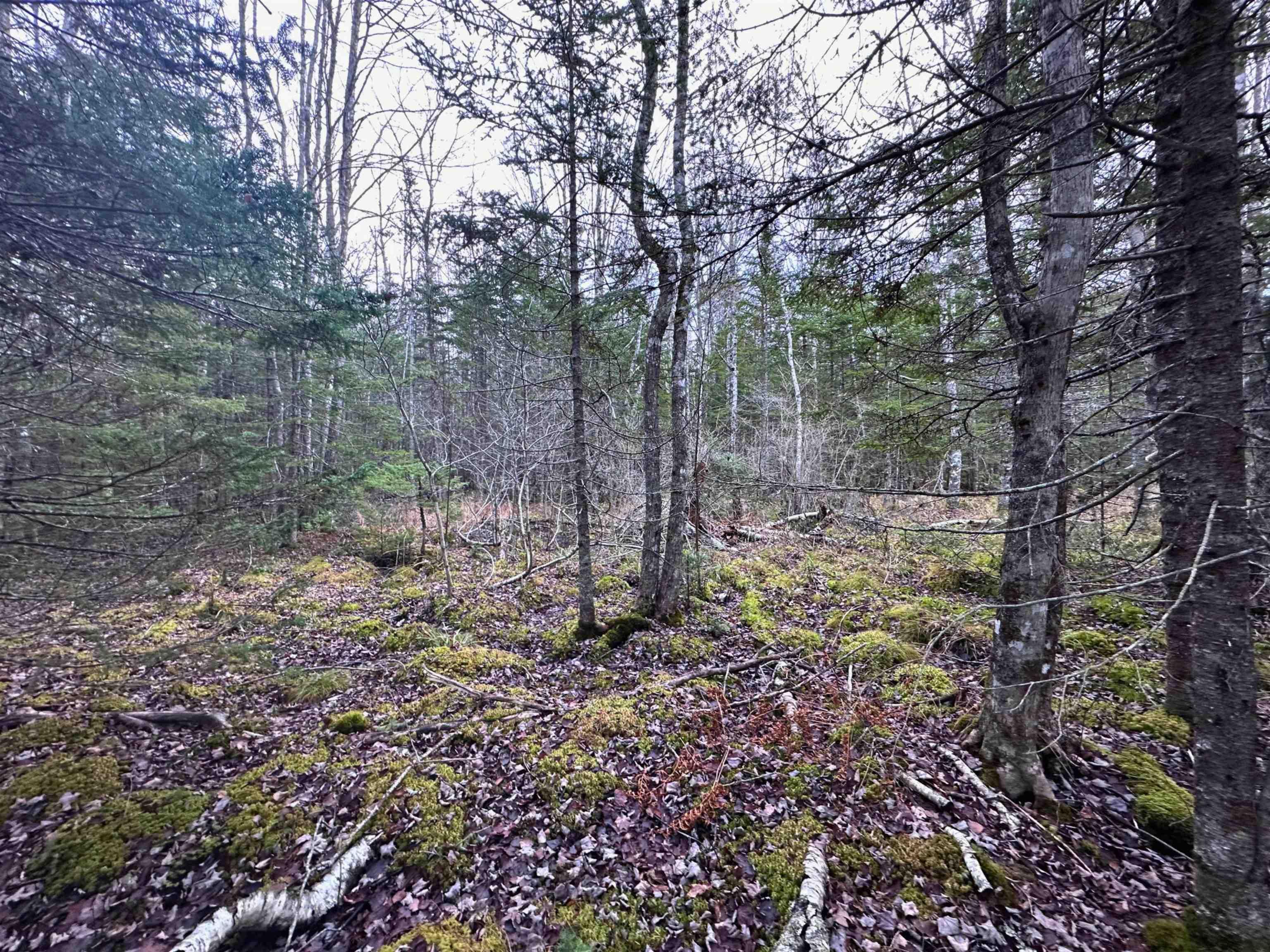 $36,000.00: Lot 21 Ernest Marion Drive, Laconia