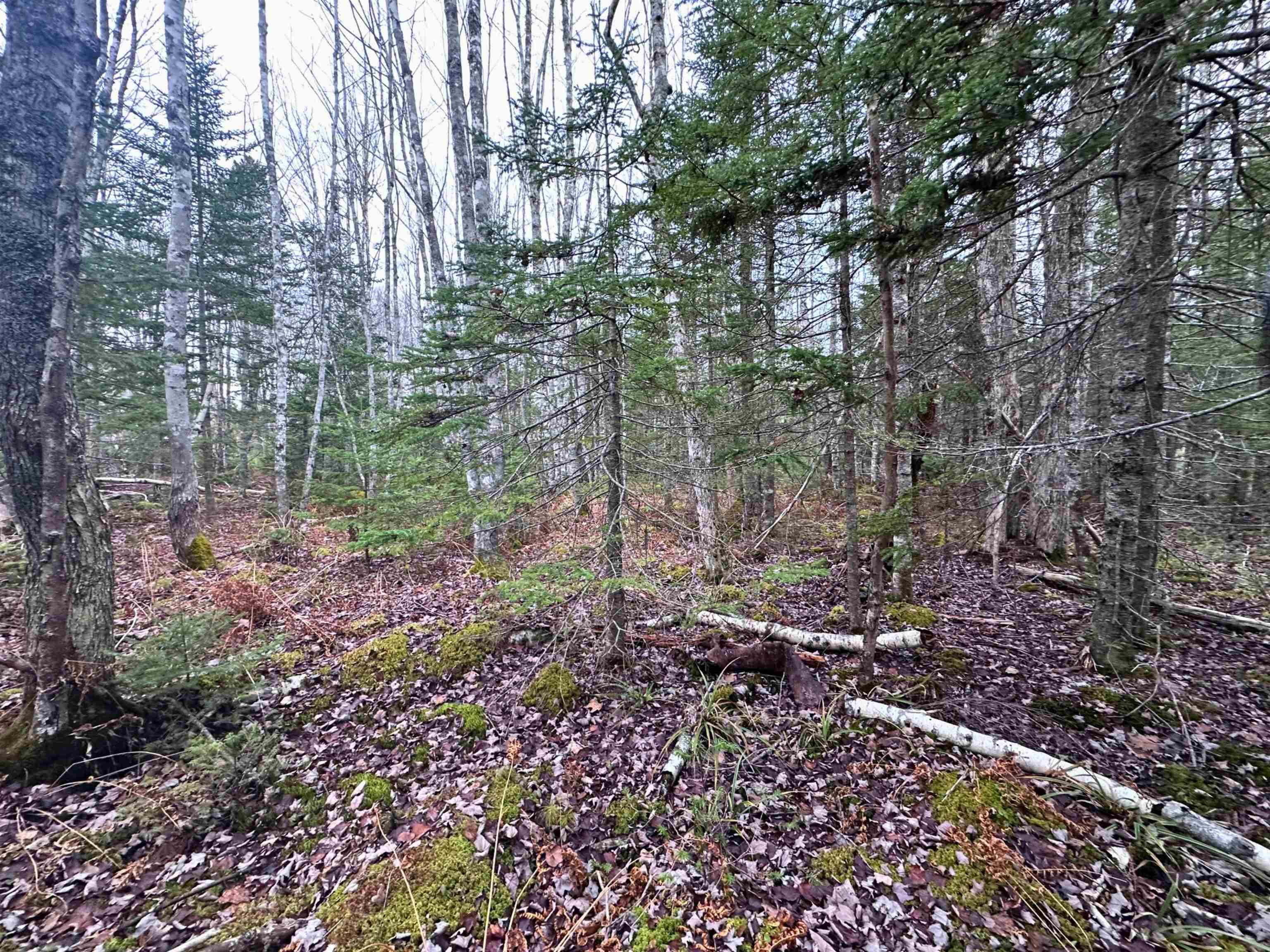 $36,000.00: Lot 21 Ernest Marion Drive, Laconia
