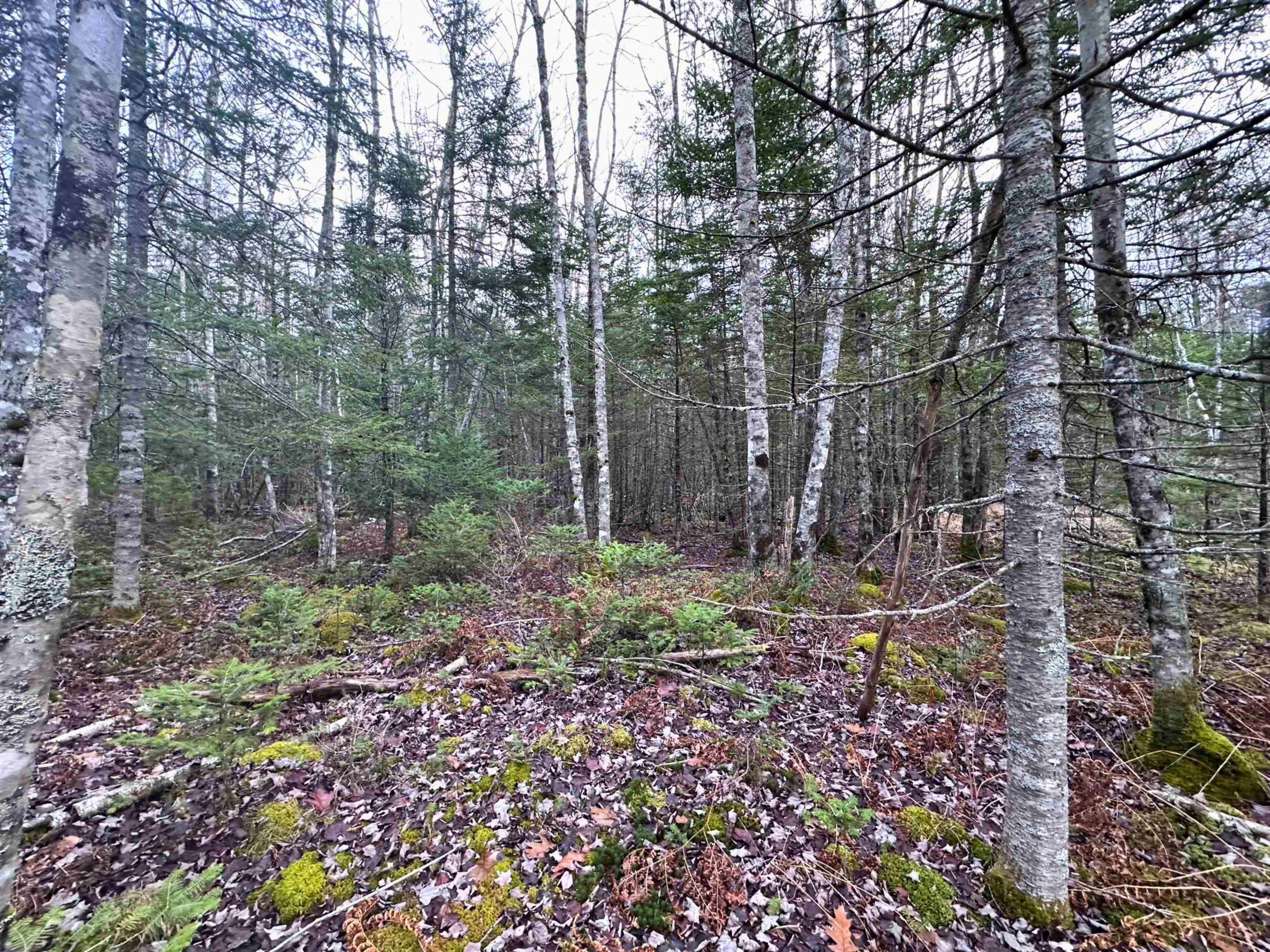 $36,000.00: Lot 21 Ernest Marion Drive, Laconia