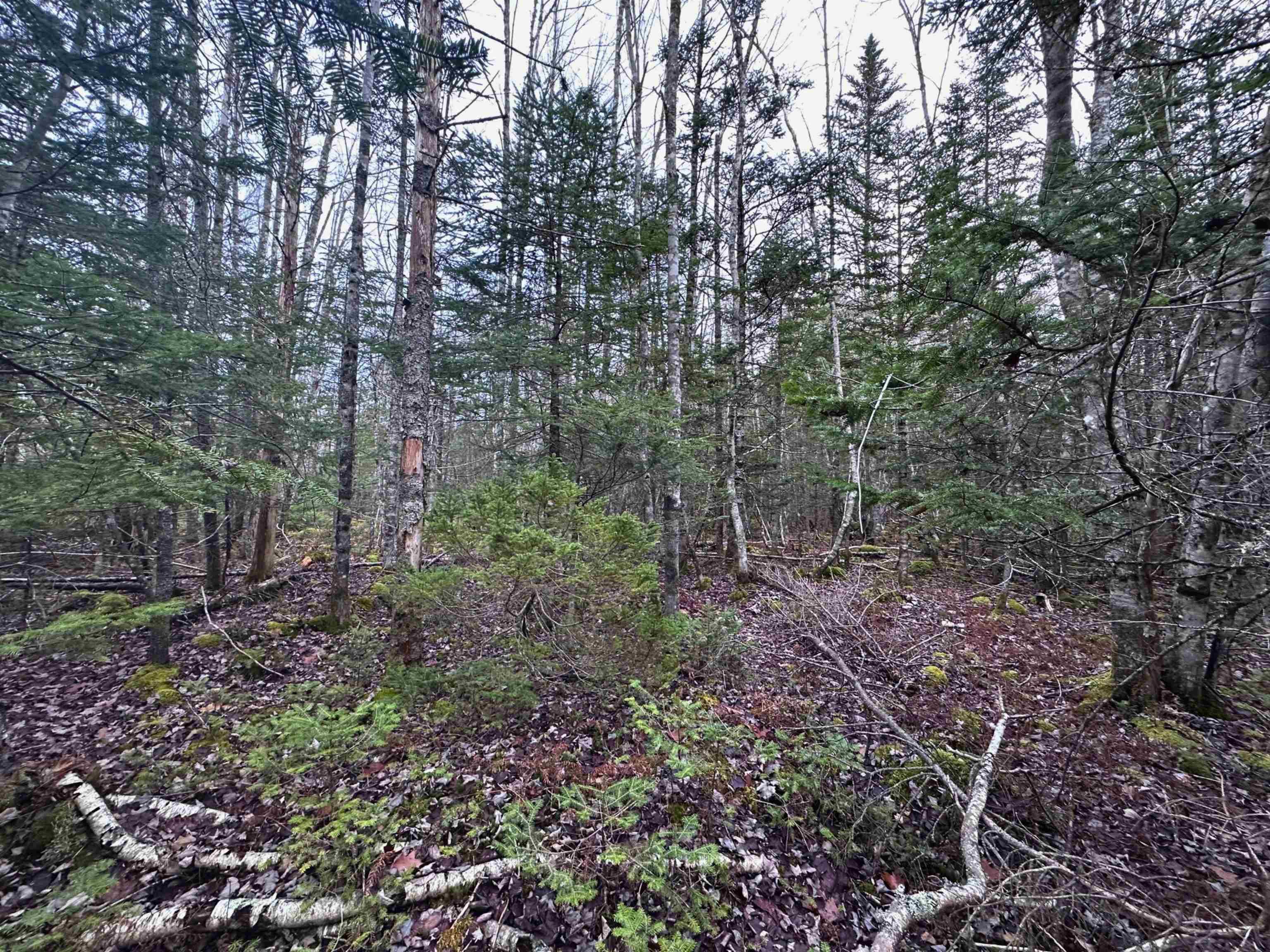 $36,000.00: Lot 21 Ernest Marion Drive, Laconia
