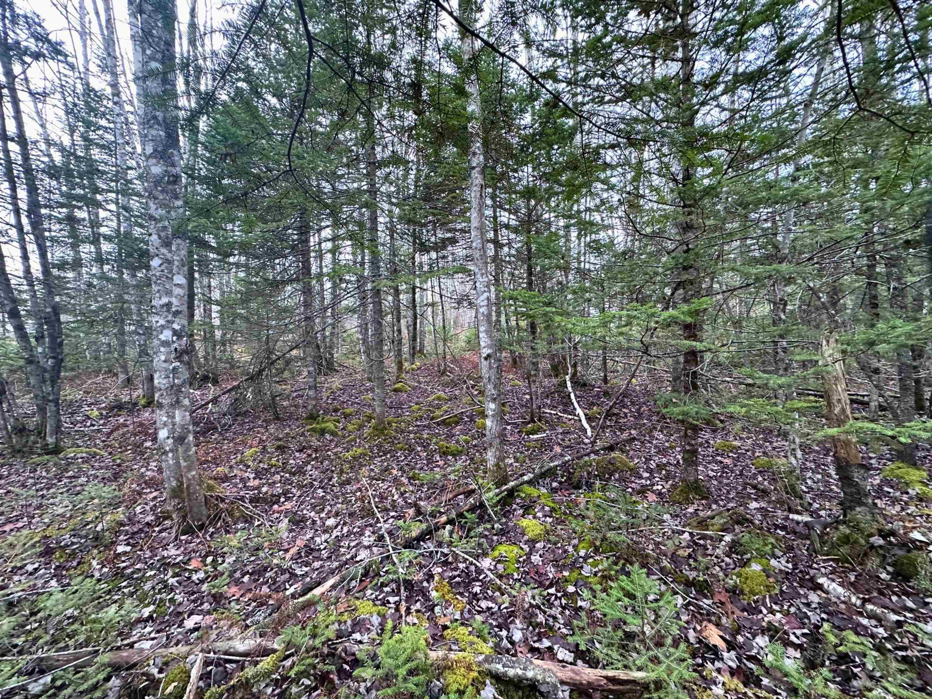 $36,000.00: Lot 21 Ernest Marion Drive, Laconia