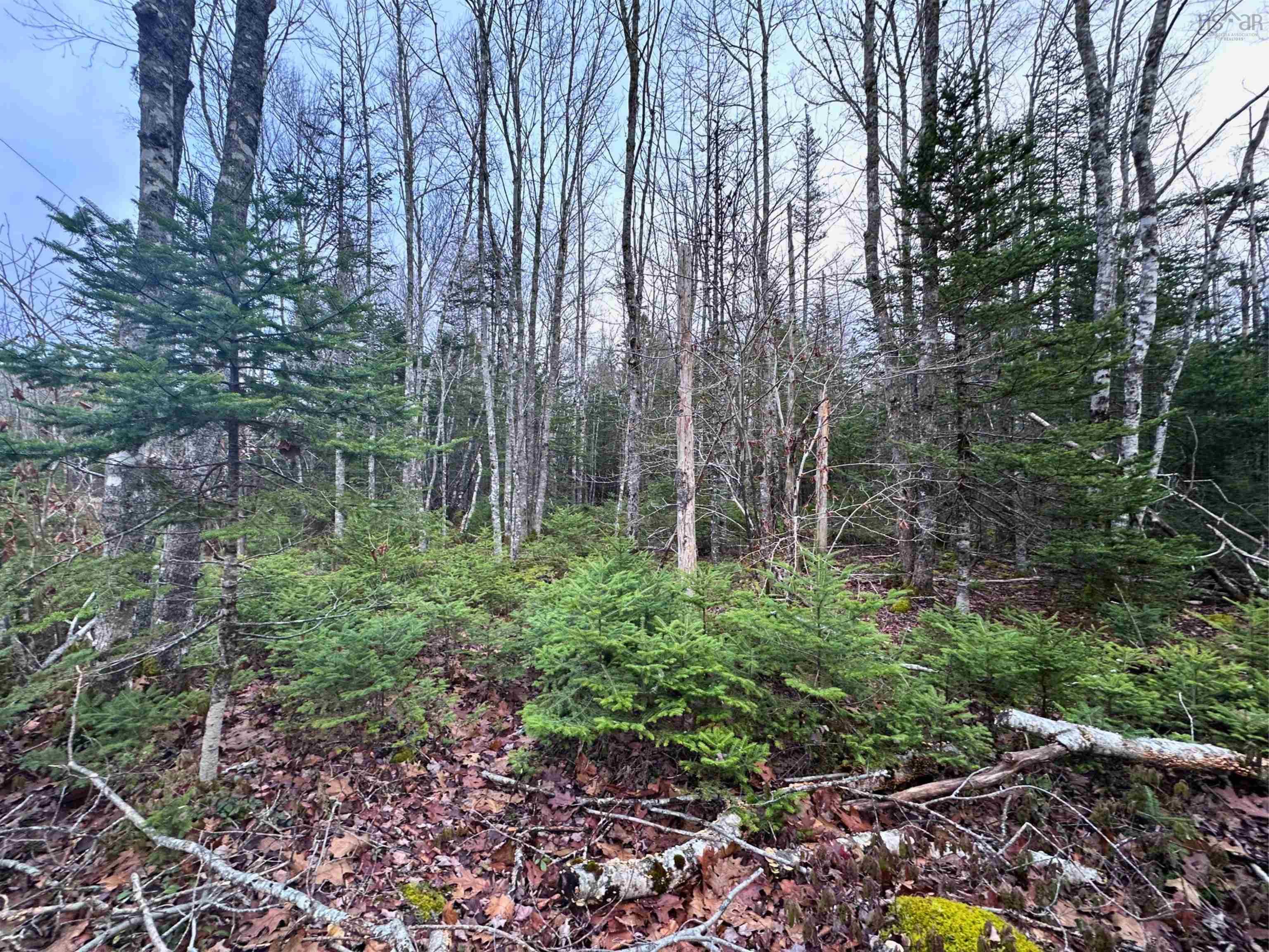 $36,000.00: Lot 21 Ernest Marion Drive, Laconia