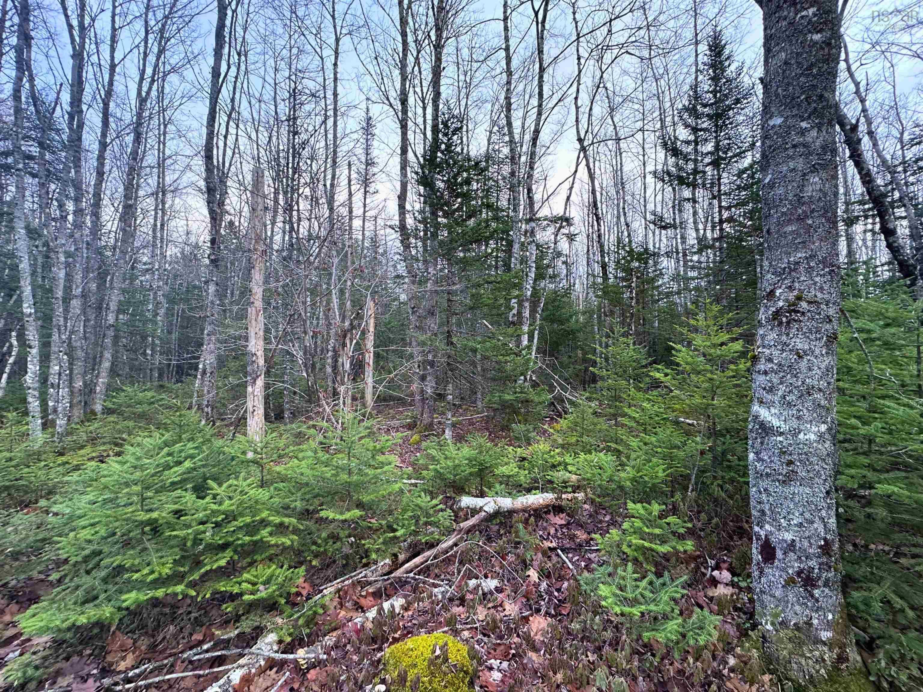 $36,000.00: Lot 21 Ernest Marion Drive, Laconia