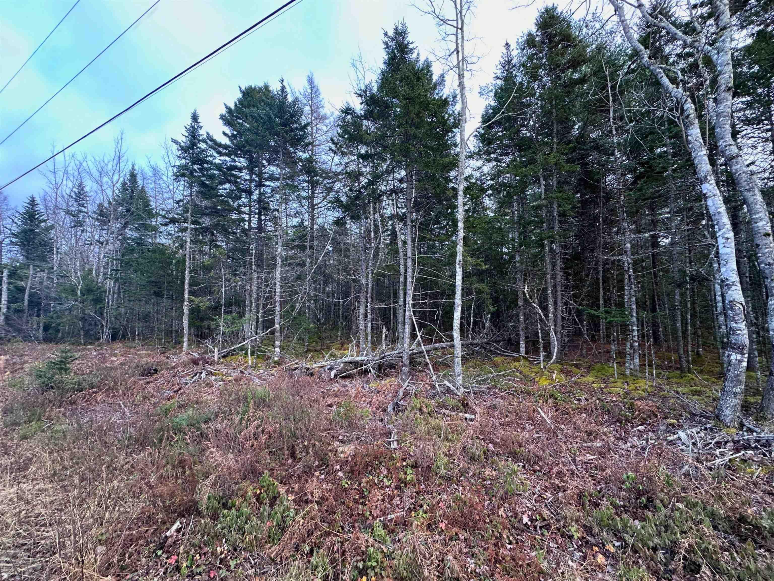 $34,000.00: Lot 22 Ernest Marion Drive, Laconia