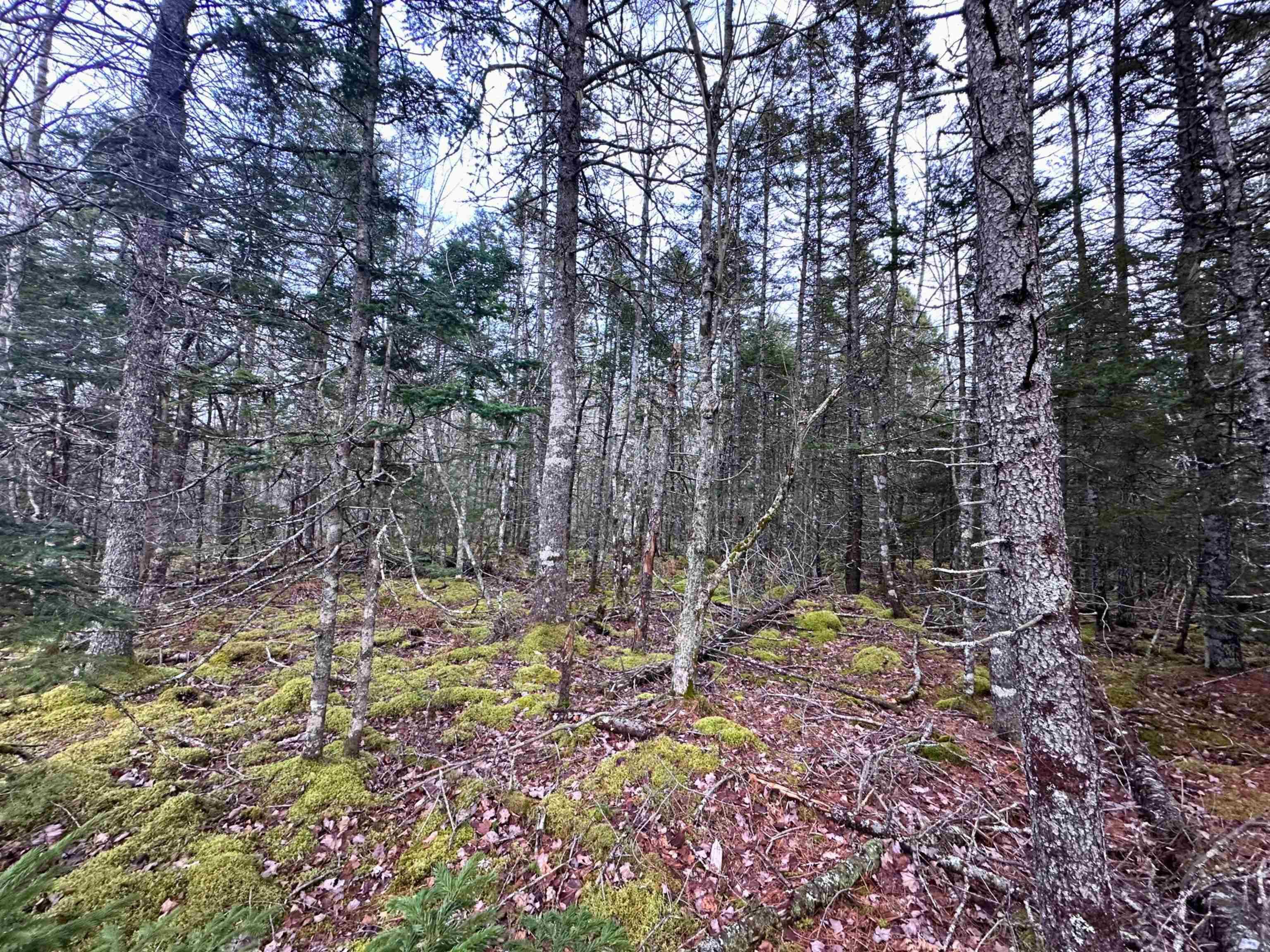 $34,000.00: Lot 22 Ernest Marion Drive, Laconia
