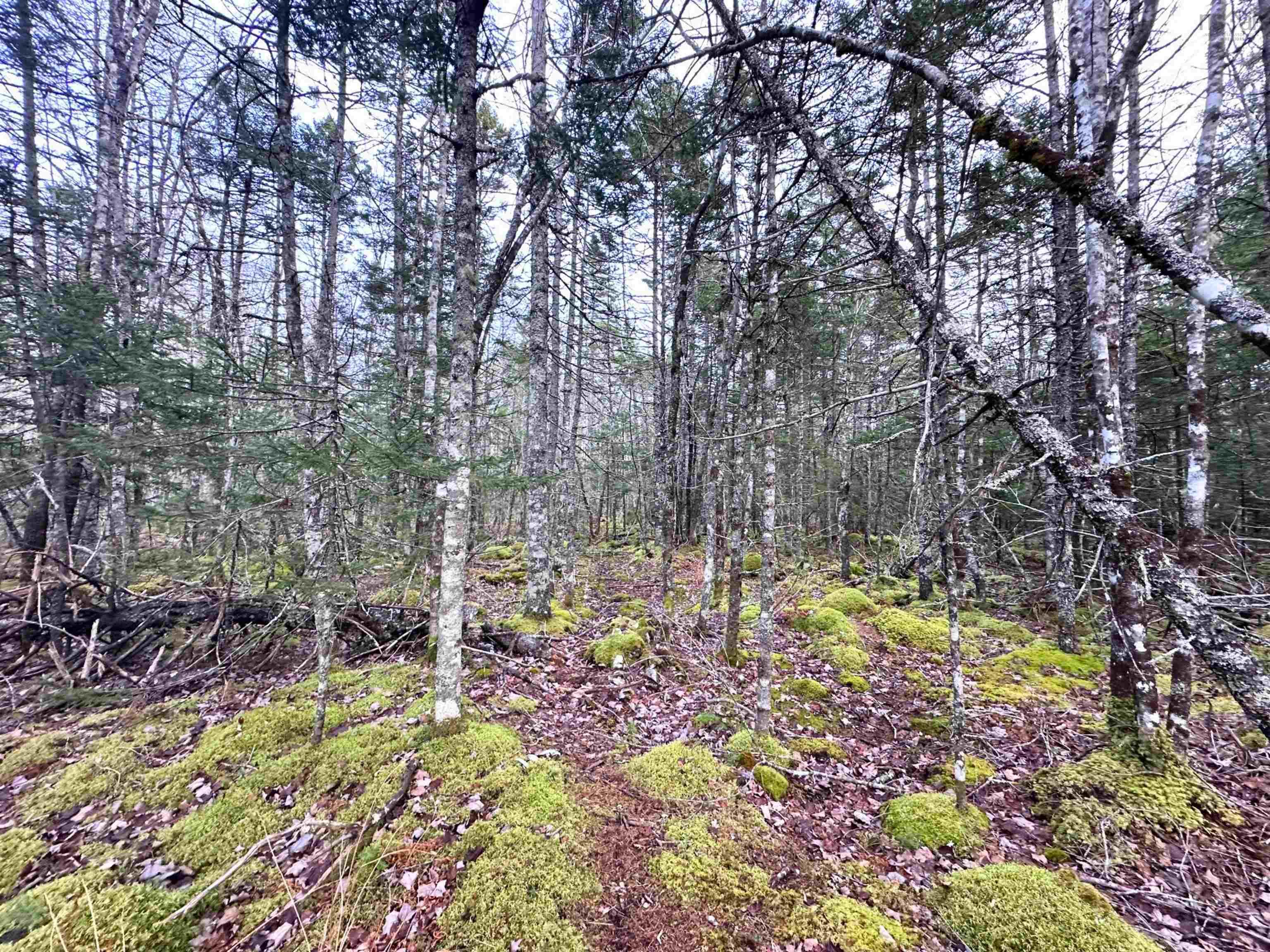 $34,000.00: Lot 22 Ernest Marion Drive, Laconia