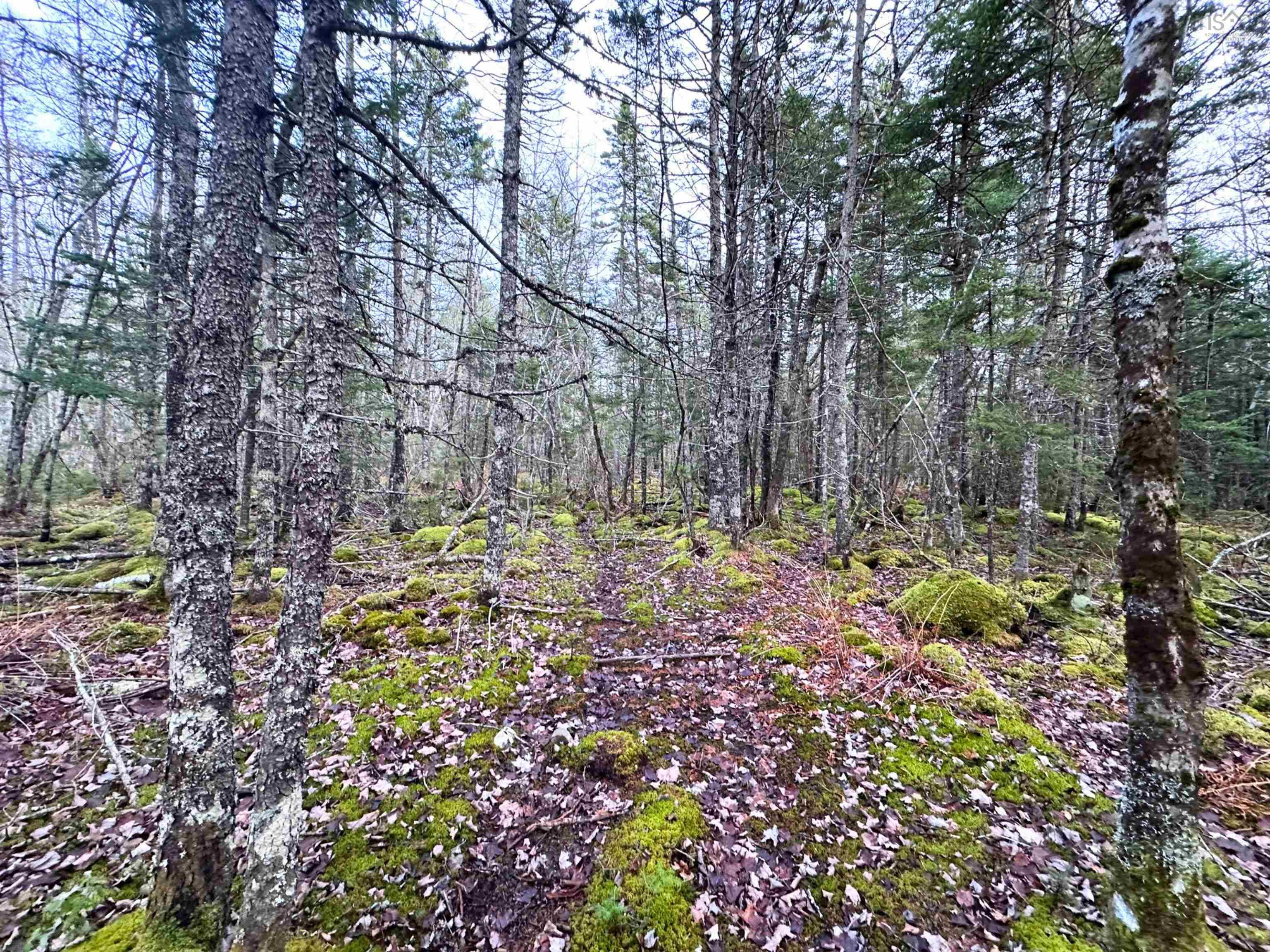 $34,000.00: Lot 22 Ernest Marion Drive, Laconia